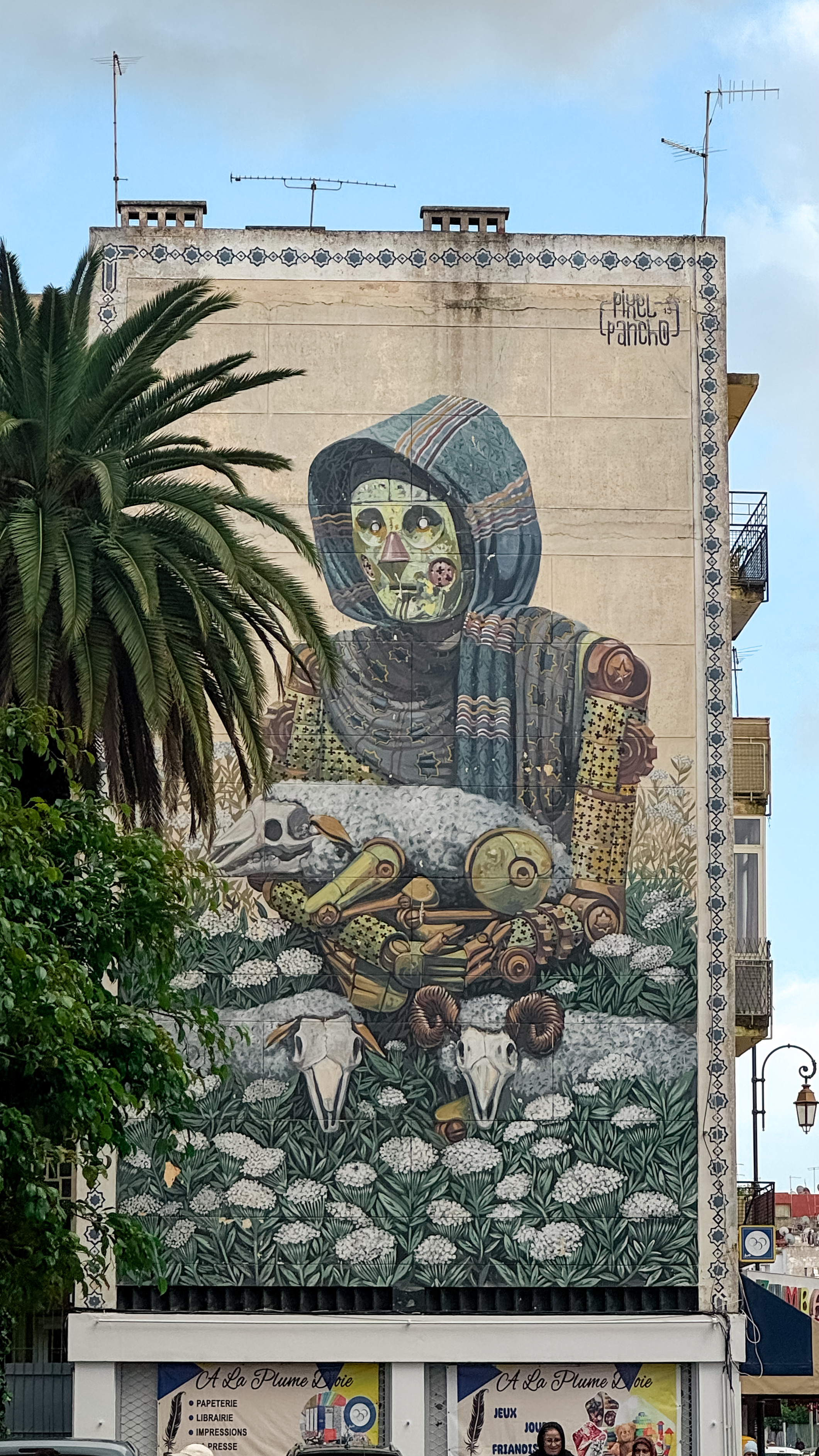 Марокко - летние горы и океан с фотографом (эконом тур) (37/88)