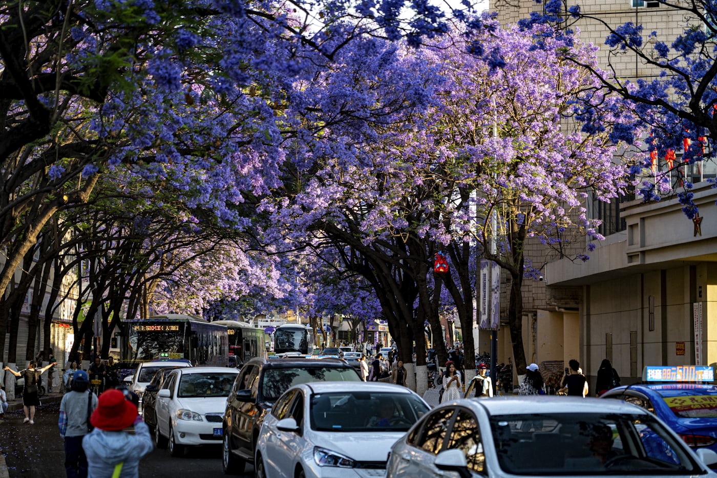11 дней в горах Тибета: Ущелье Прыгающего Тигра, Шангри-Ла, Дали, Лицзян (25/29)
