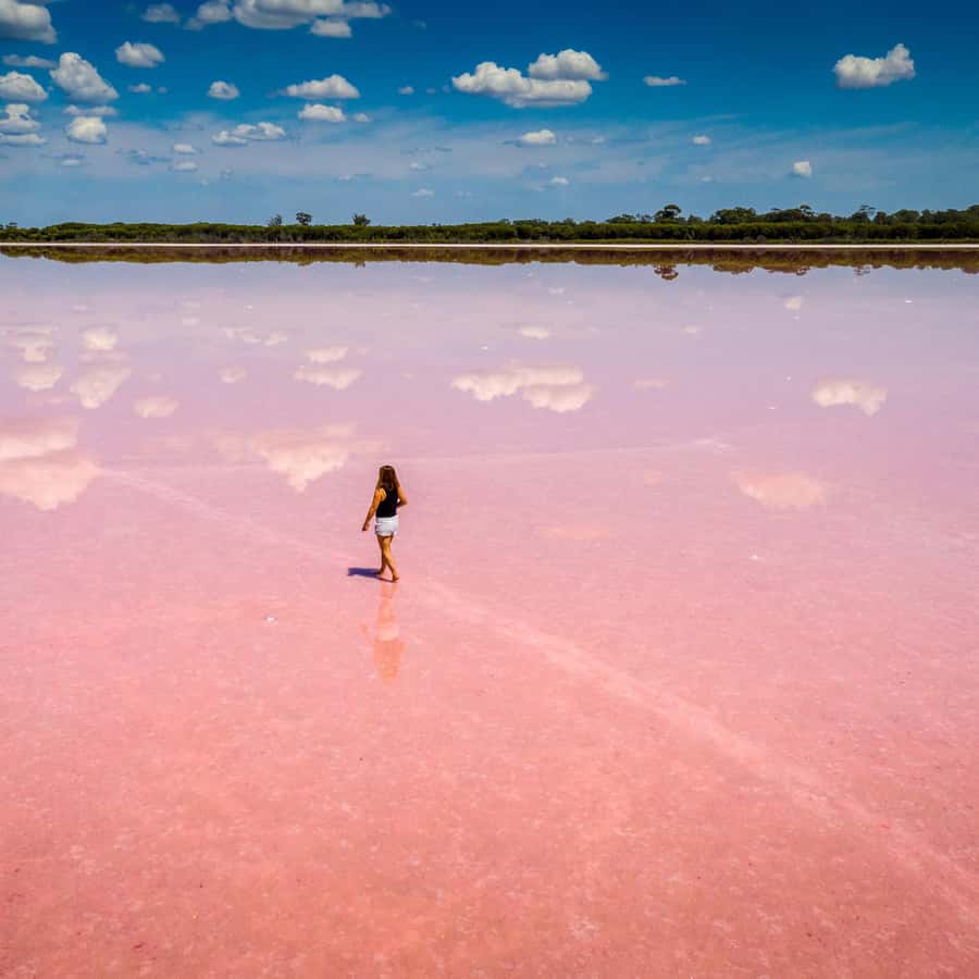 Розовое озеро, Марсианские горы, Бешбармаг и дегустация черной икры (обед включен) (10/29)