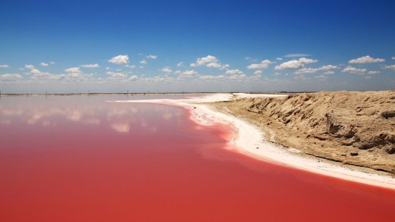 Розовое озеро, Марсианские горы, Бешбармаг и дегустация черной икры (обед включен) (11/29)