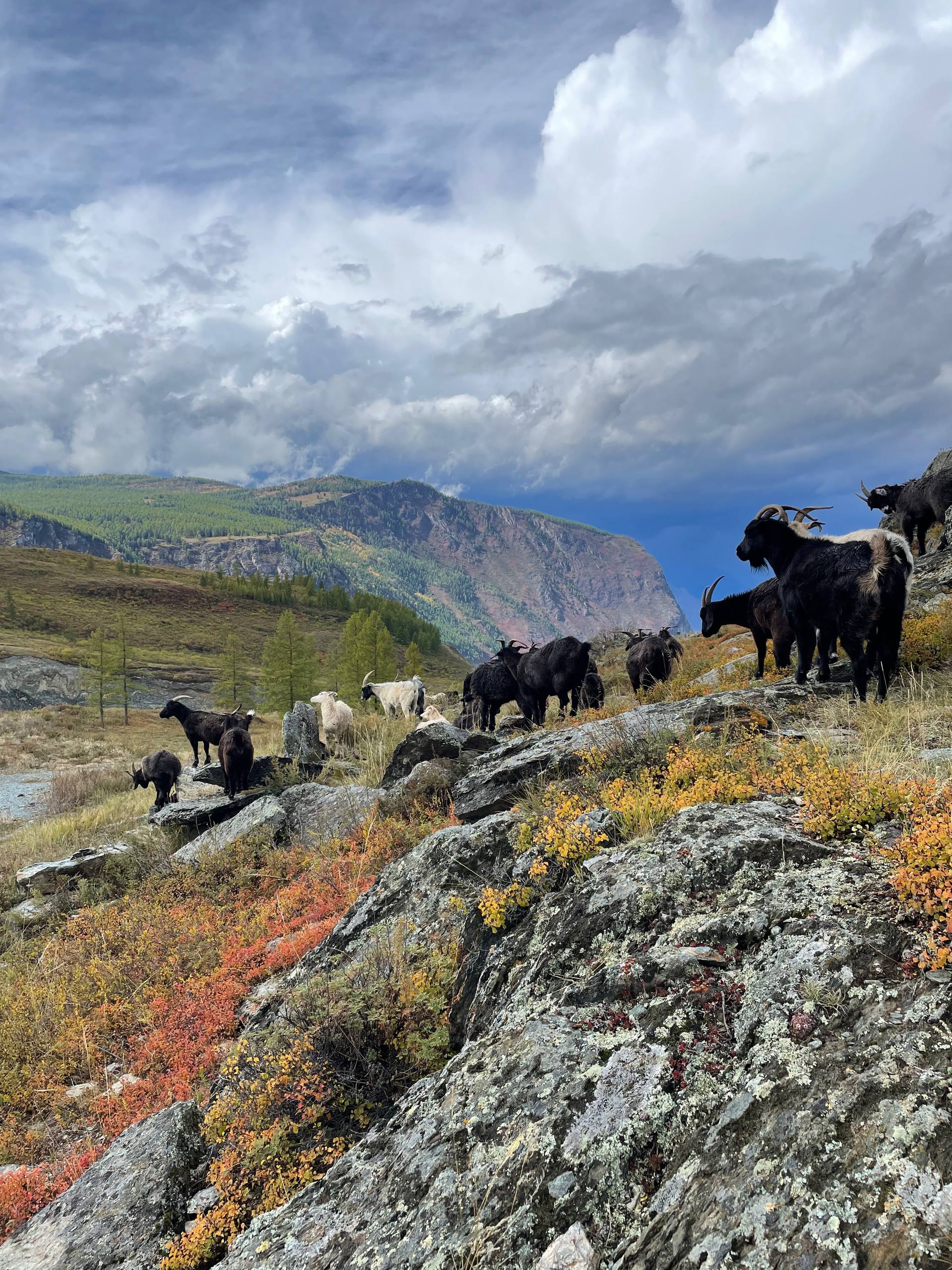 Знакомство с Алтаем в мини-группе (22/27)