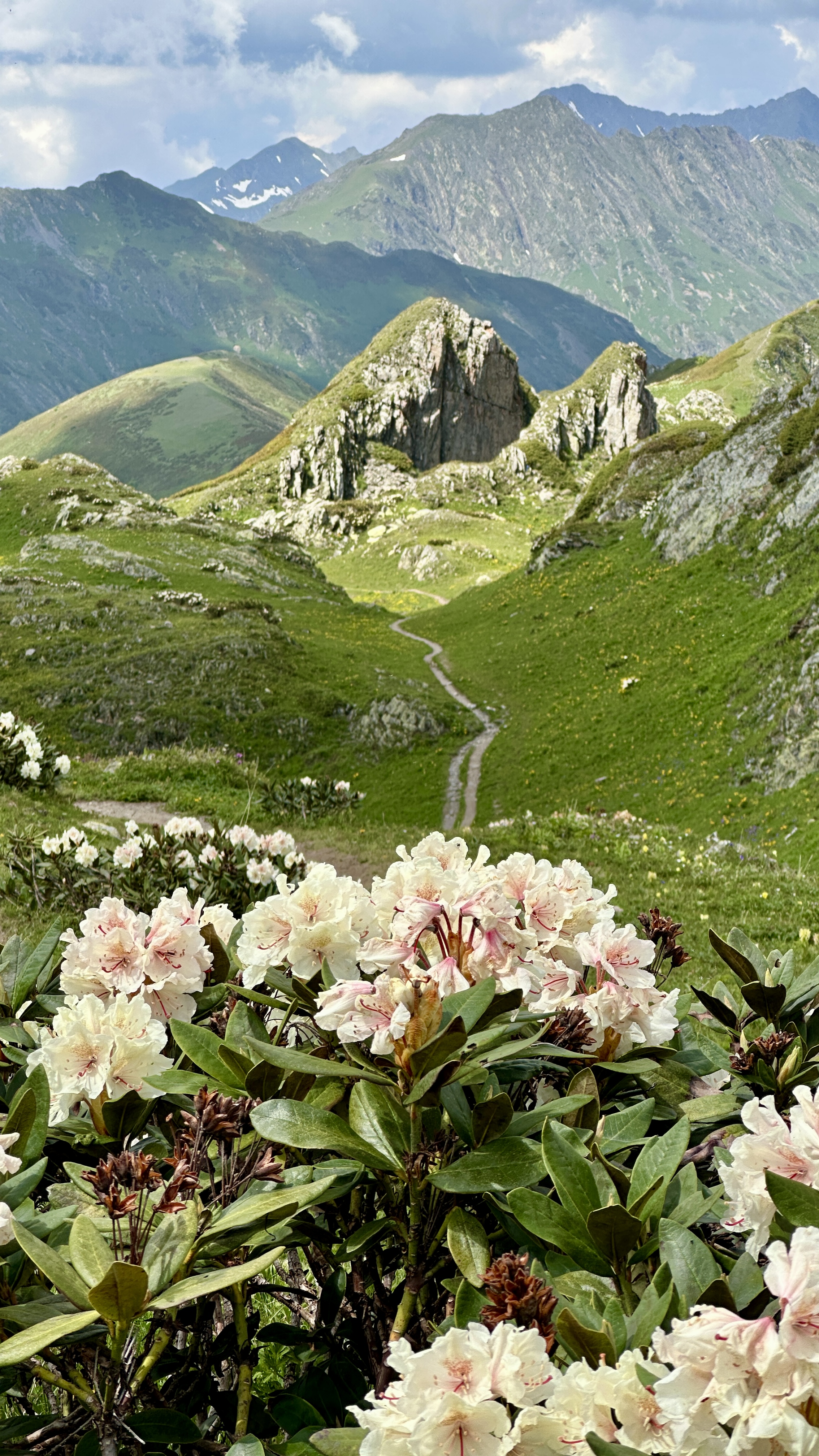 Красная Поляна и Абхазия: трекинг, море и комфорт (4/10)