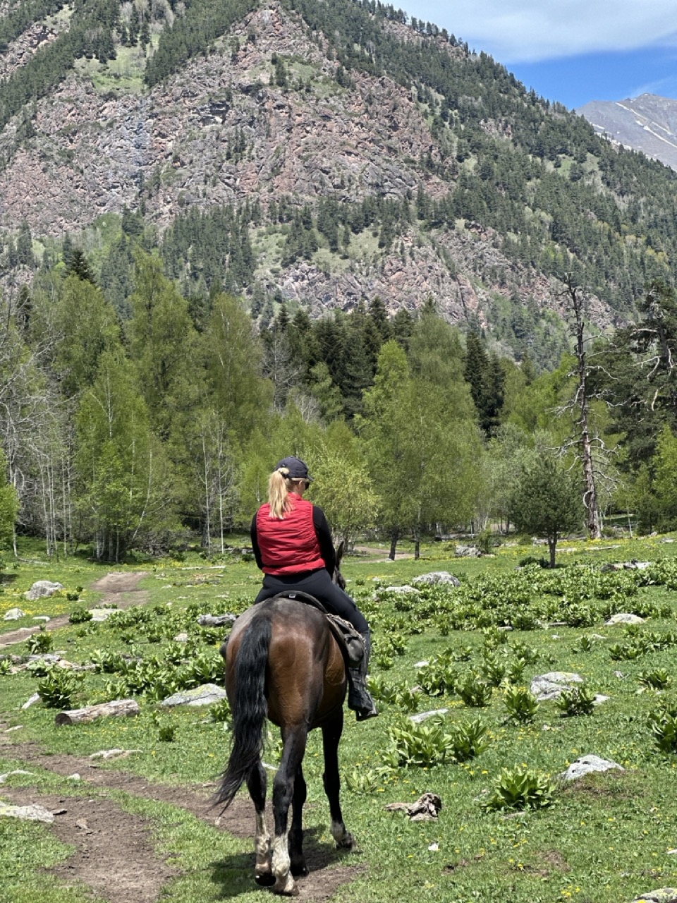 Приезд, знакомство с лошадьми и инструкторами