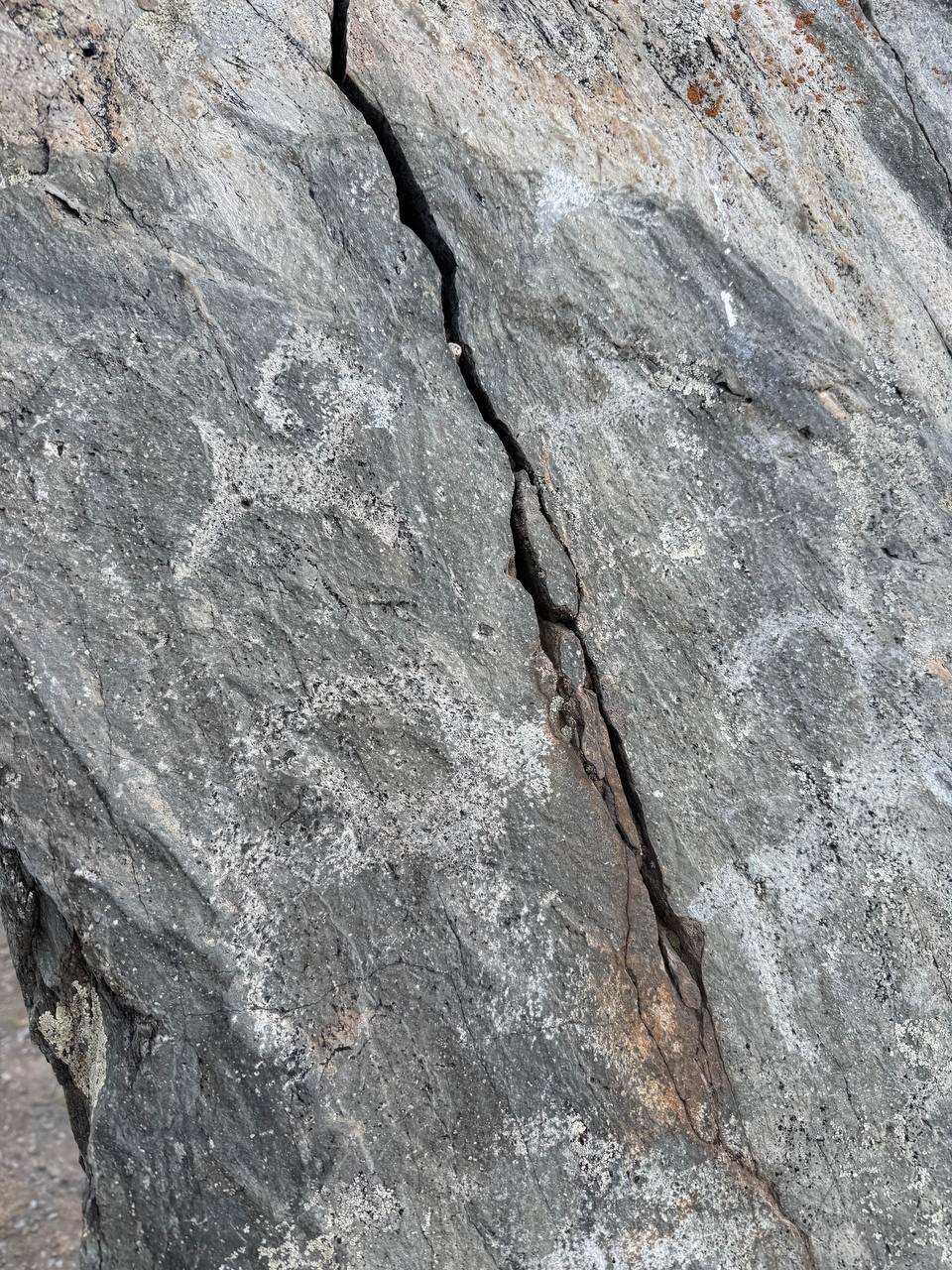 Знакомство с Алтаем в мини-группе (27/27)