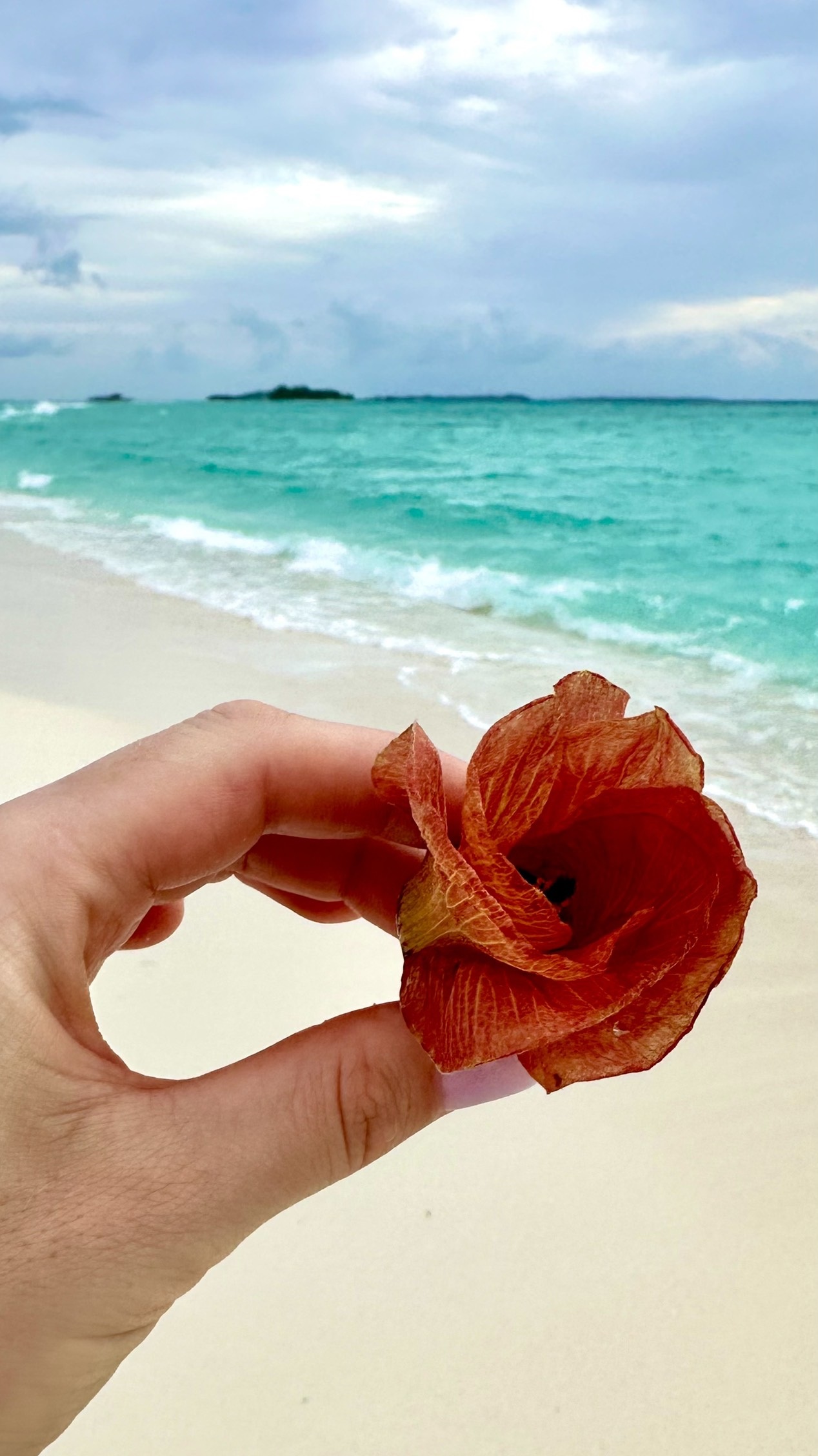 Активные Мальдивы по трем островам!