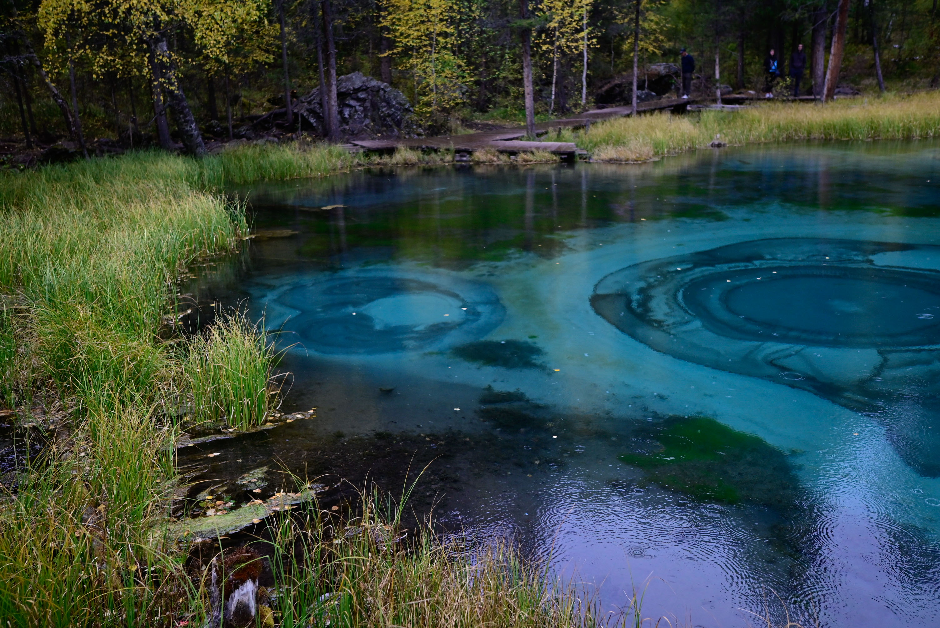 Знакомство с Алтаем в мини-группе (26/27)