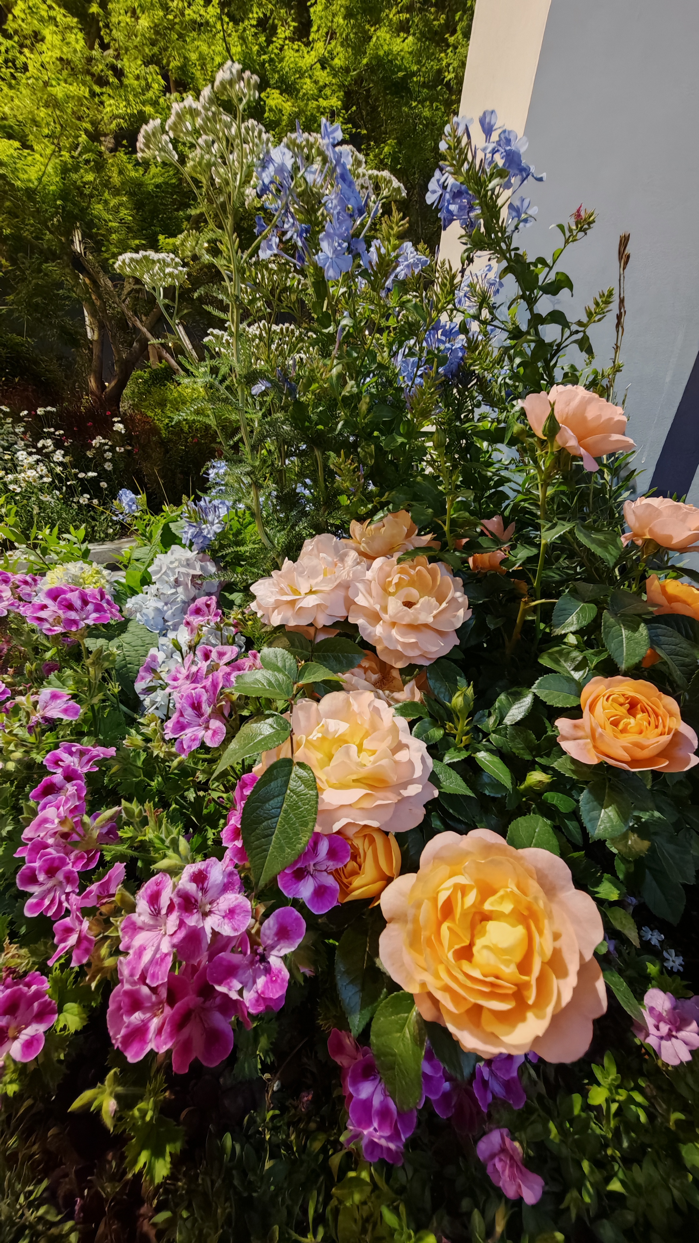 Встречай весну в Восточном Китае: Шанхай, древние деревни, водопады и горы Хуаншань (52/52)