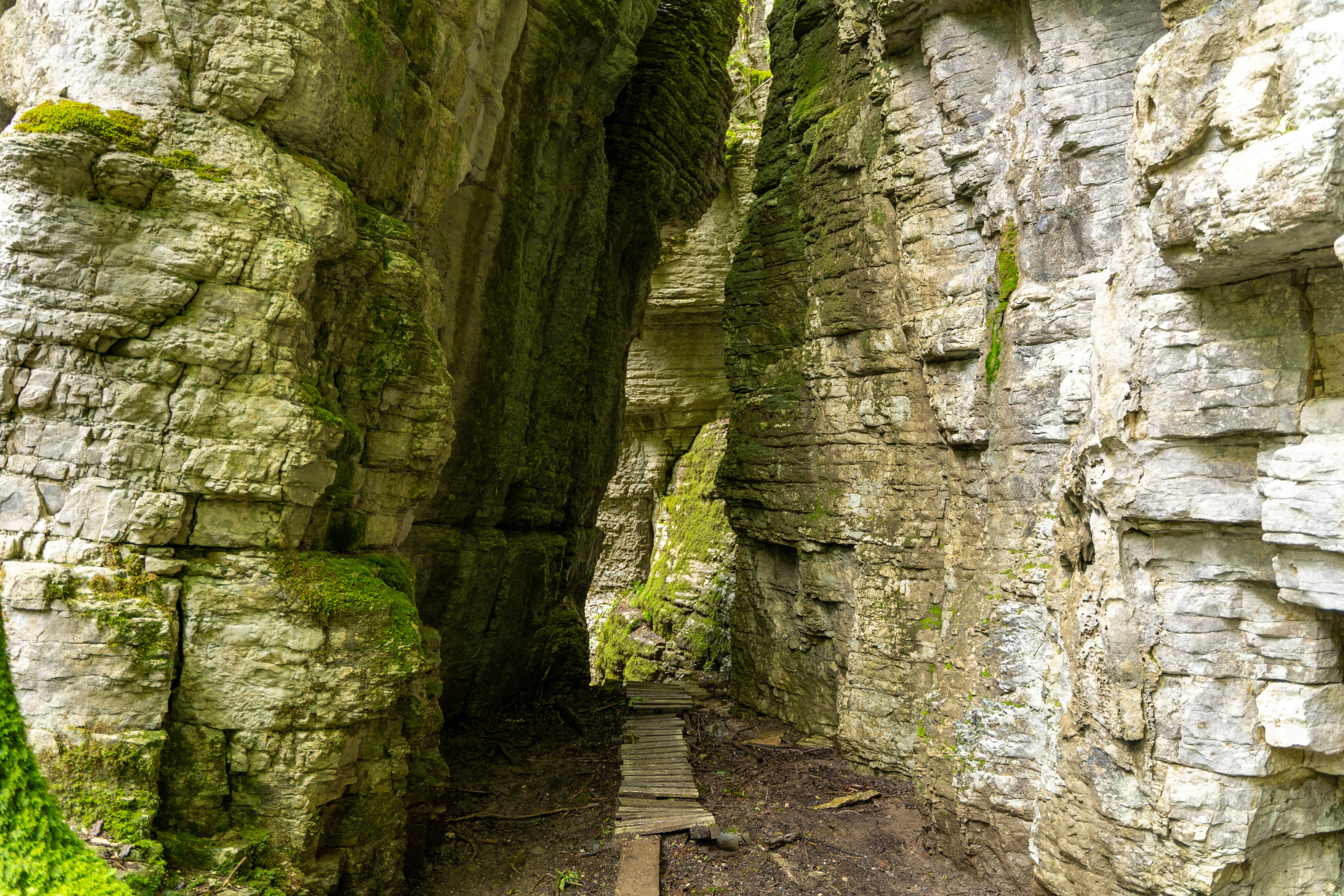 Красная Поляна и Абхазия: трекинг, море и комфорт (6/10)