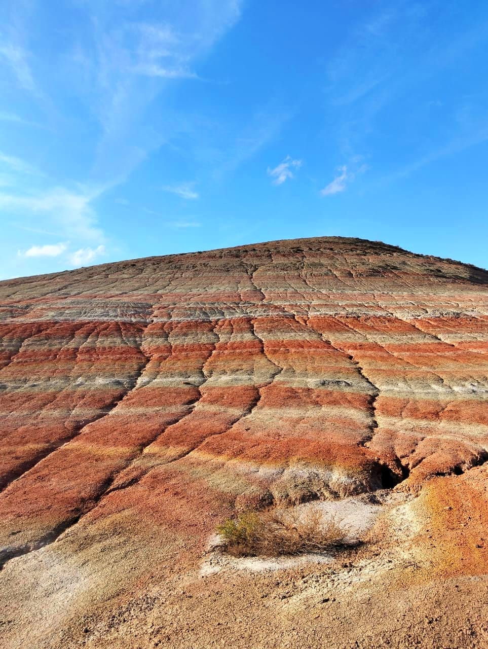 Розовое озеро, Марсианские горы, Бешбармаг и дегустация черной икры (обед включен) (27/29)