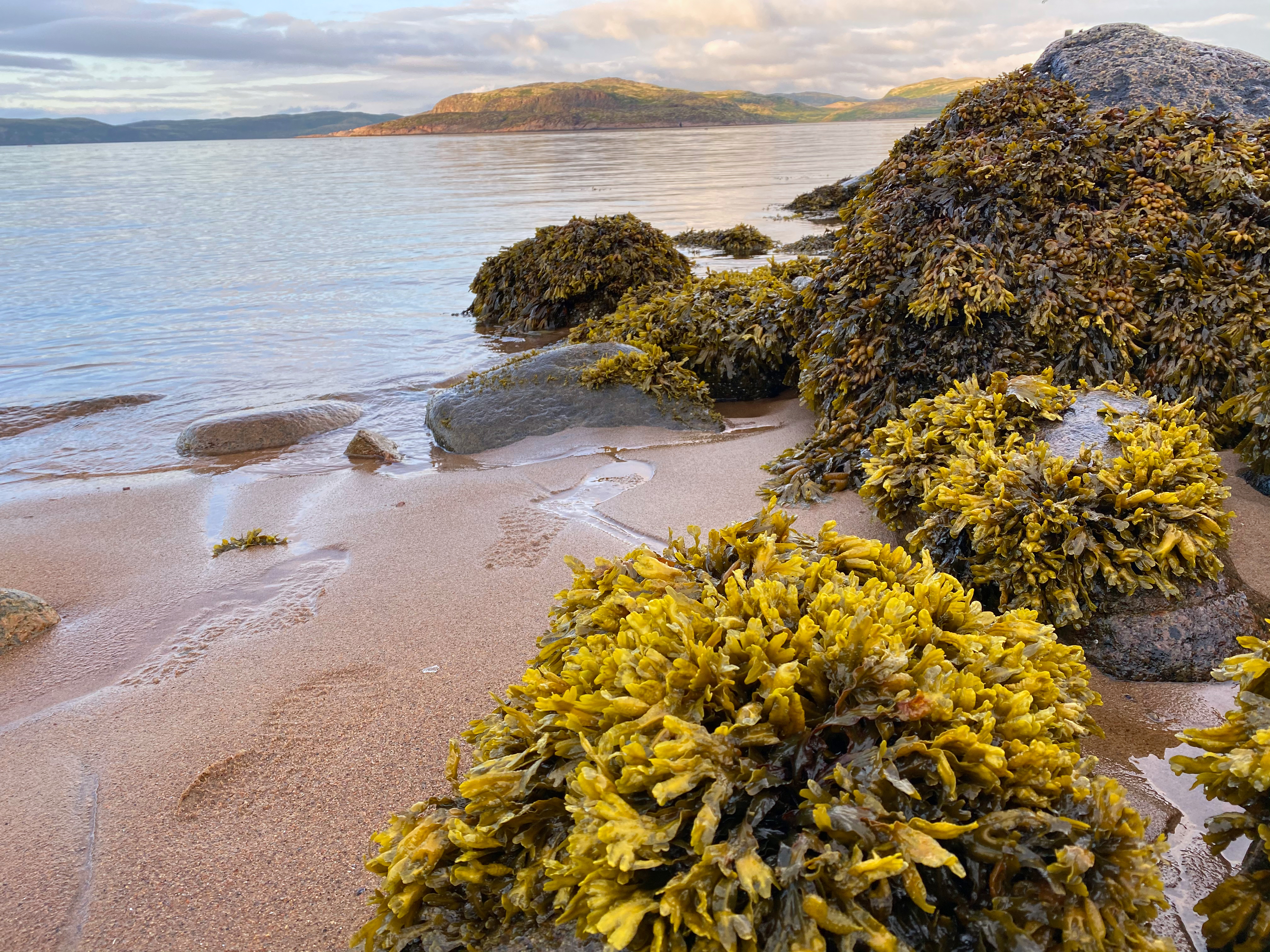 3 в 1: Мурманск-Териберка-Кировск (3/25)