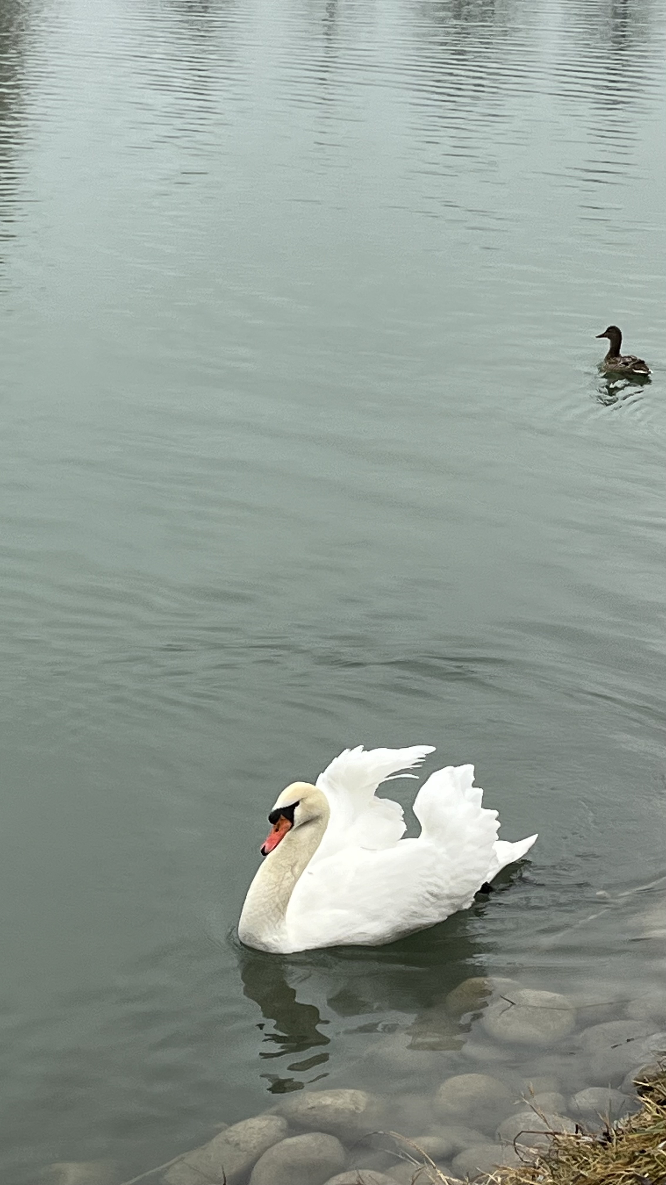 Верхняя Балкария  +замок Шато Эркен +Язык Тролля из Ессентуков (19/24)
