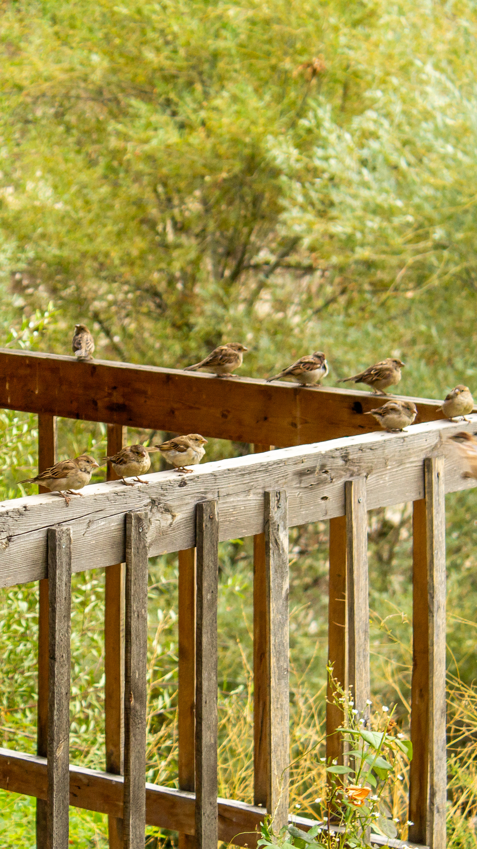 Легендарная Армения: путешествие сквозь века (16/21)
