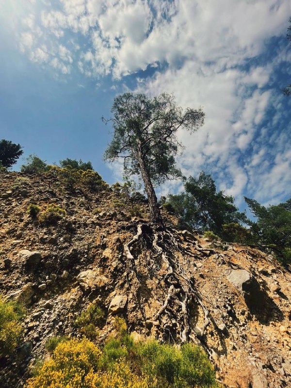 Турция. Активный тур по Ликийской тропе без палаток и рюкзаков (15/33)