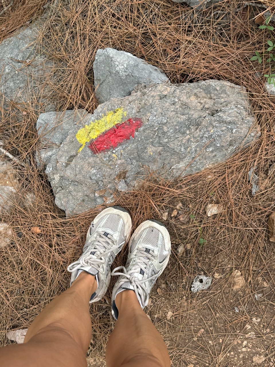 Западная Ликийская тропа с проживанием в отелях и трансфером багажа (2/9)