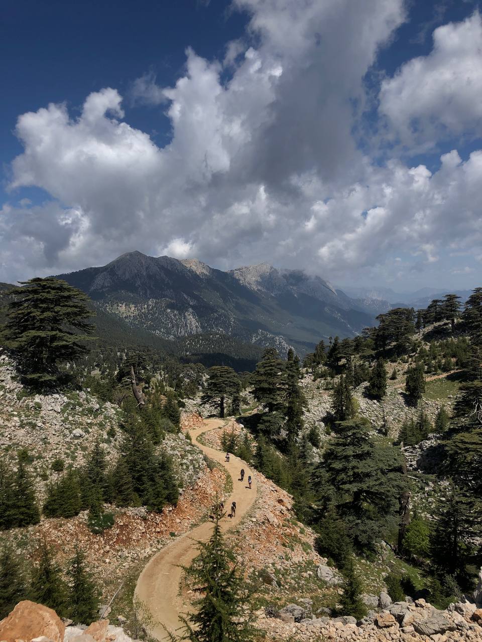 Турция. Активный тур по Ликийской тропе без палаток и рюкзаков (21/33)