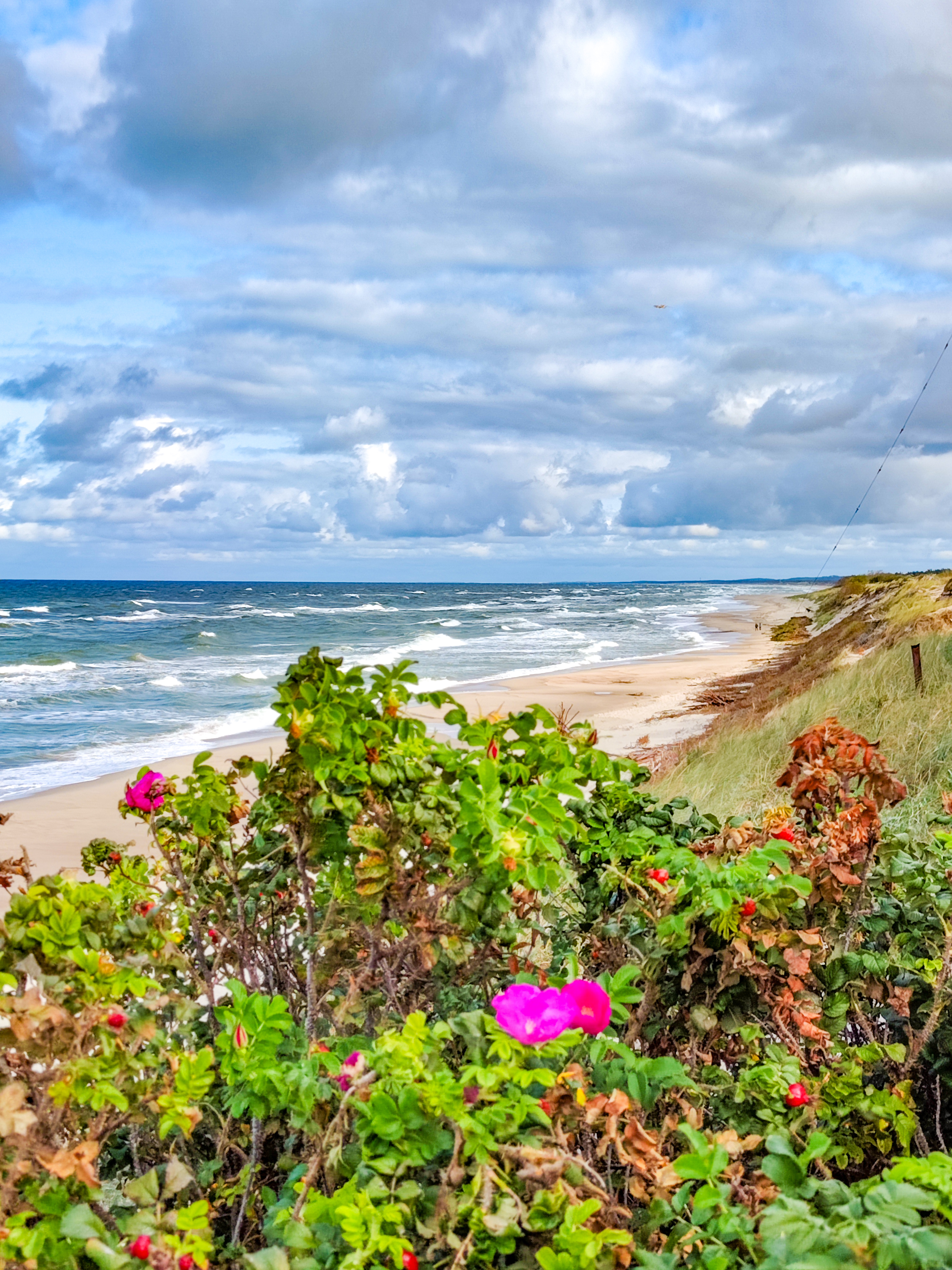 Экскурсия на Куршскую косу