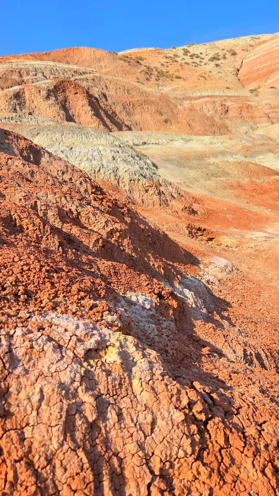 Розовое озеро, Марсианские горы, Бешбармаг и дегустация черной икры (обед включен) (25/29)