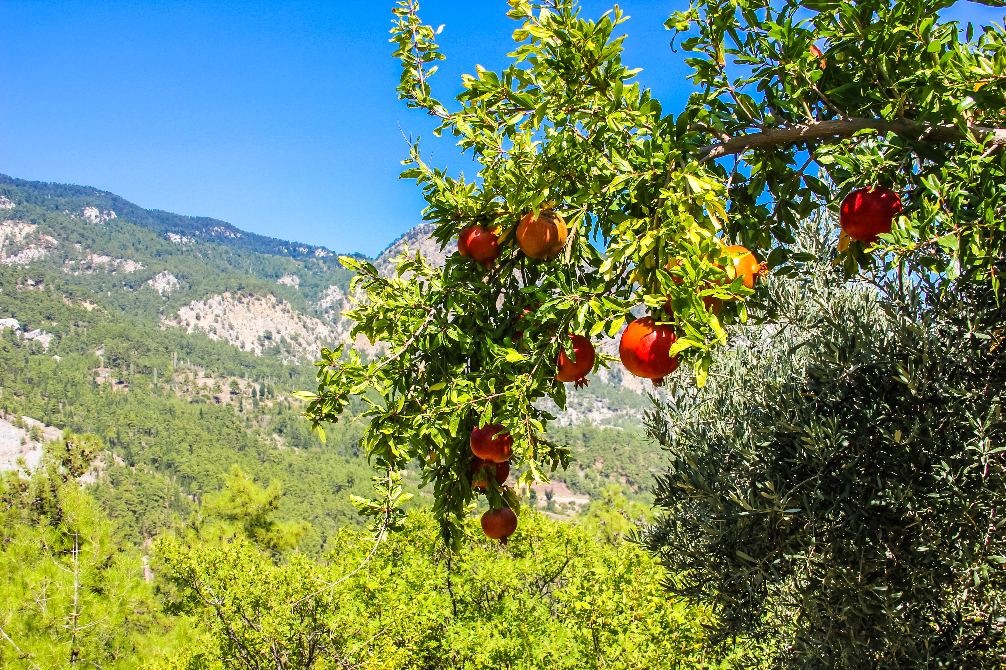 Турция. Активный тур по Ликийской тропе без палаток и рюкзаков (17/33)