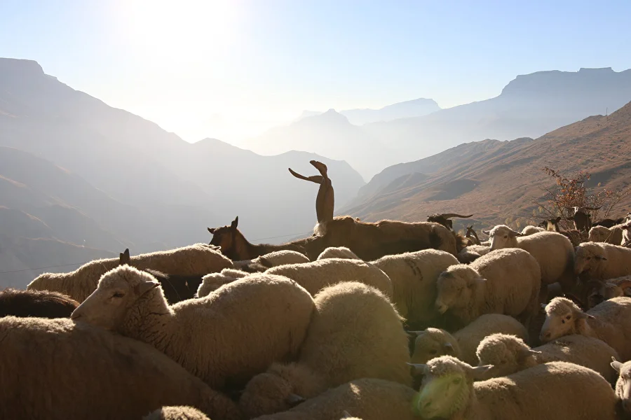 3 дня в горах Дагестана! Сулакский каньон и древние аулы! (10/22)