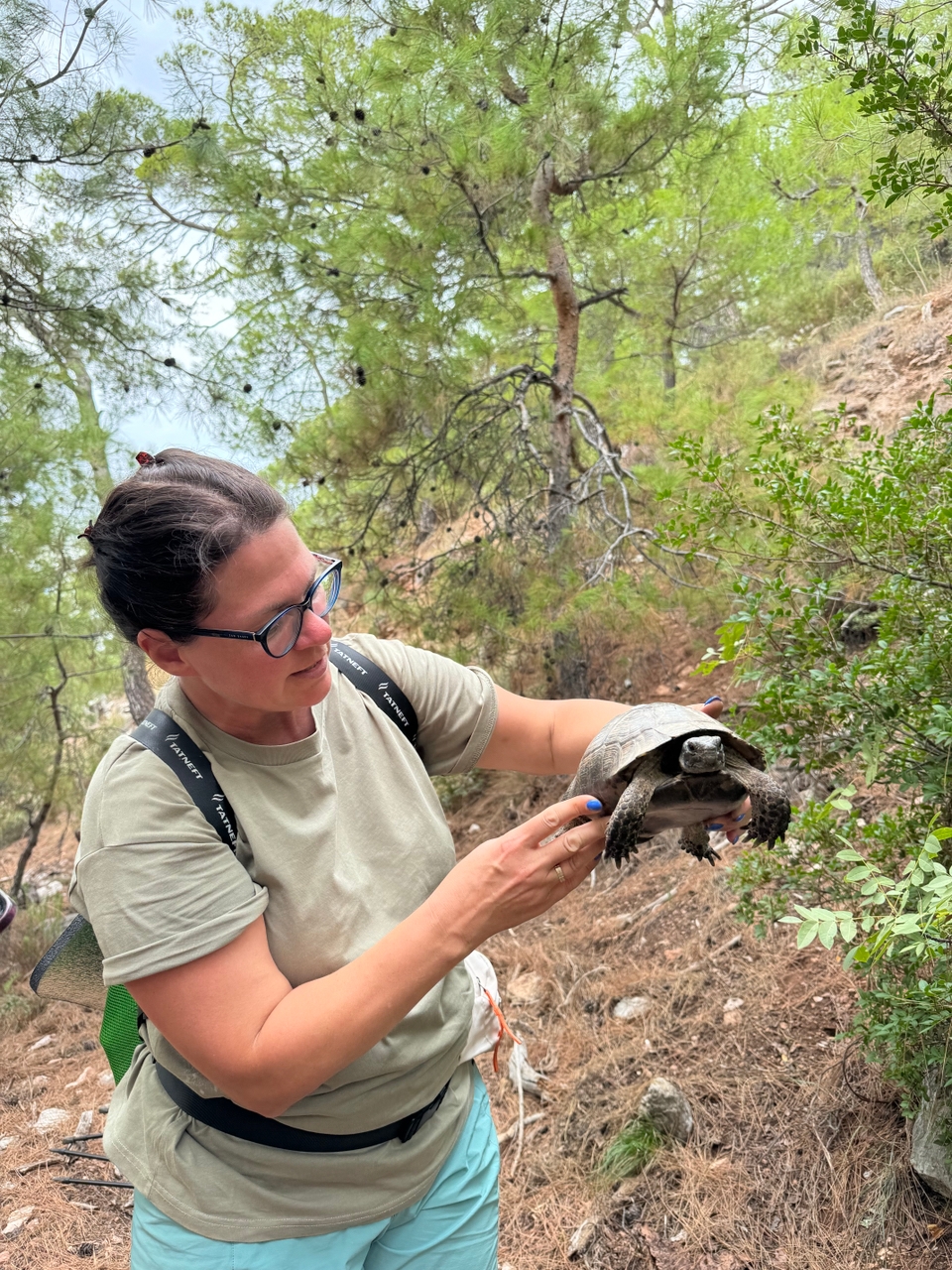 Западная Ликийская тропа с проживанием в отелях и трансфером багажа (6/9)