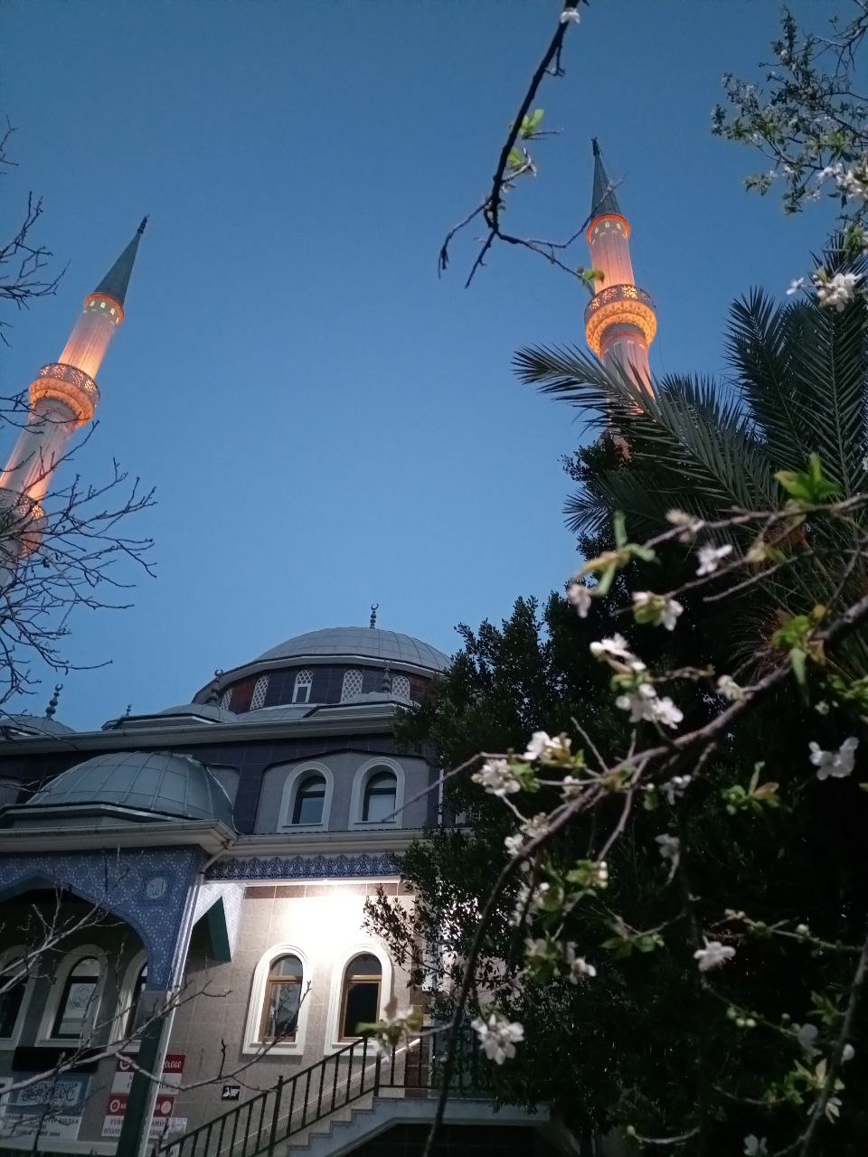 Турция. Активный тур по Ликийской тропе без палаток и рюкзаков (8/33)