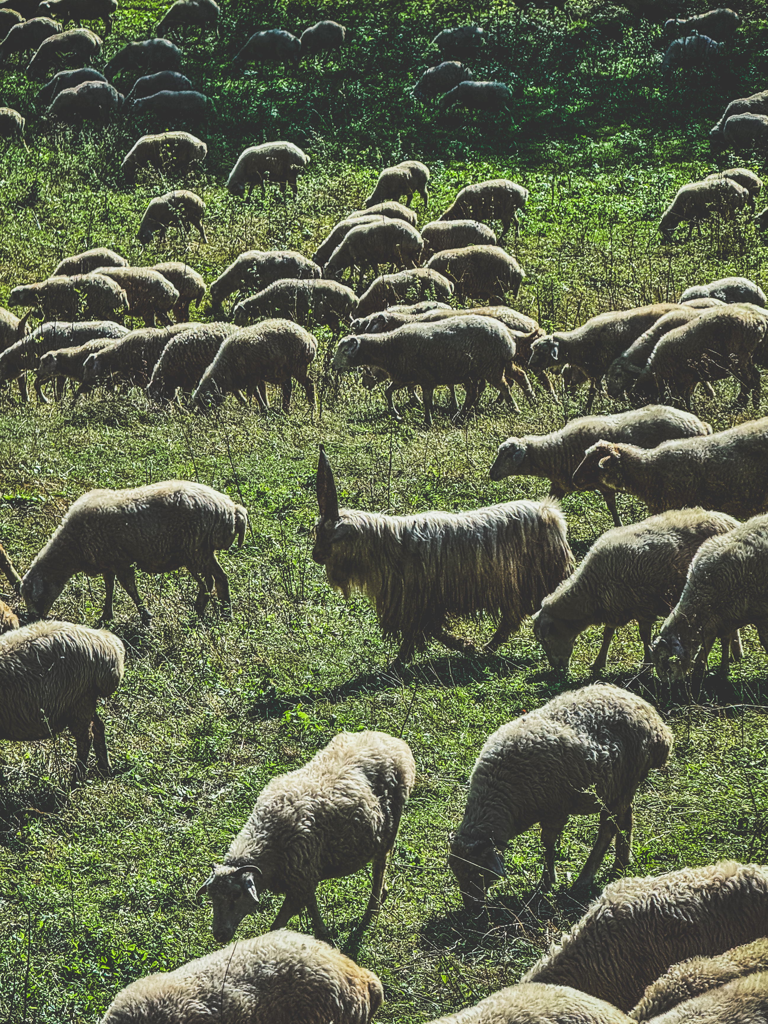 Моя планета-Дагестан.  Все включено за 4 дня (16/23)