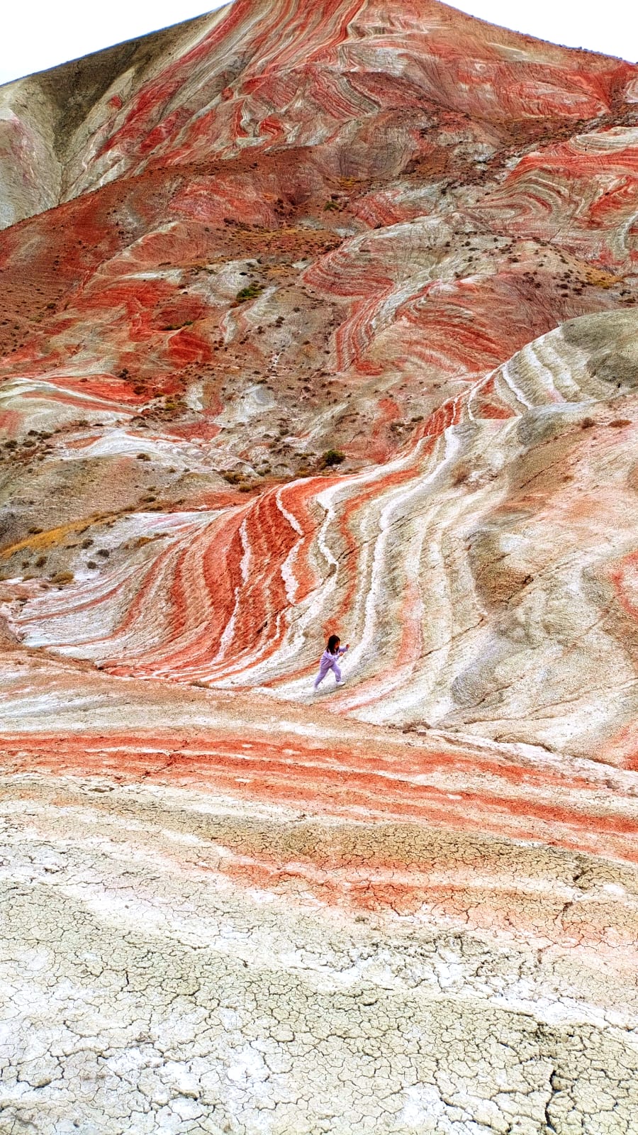 Розовое озеро, Марсианские горы, Бешбармаг и дегустация черной икры (обед включен) (29/29)