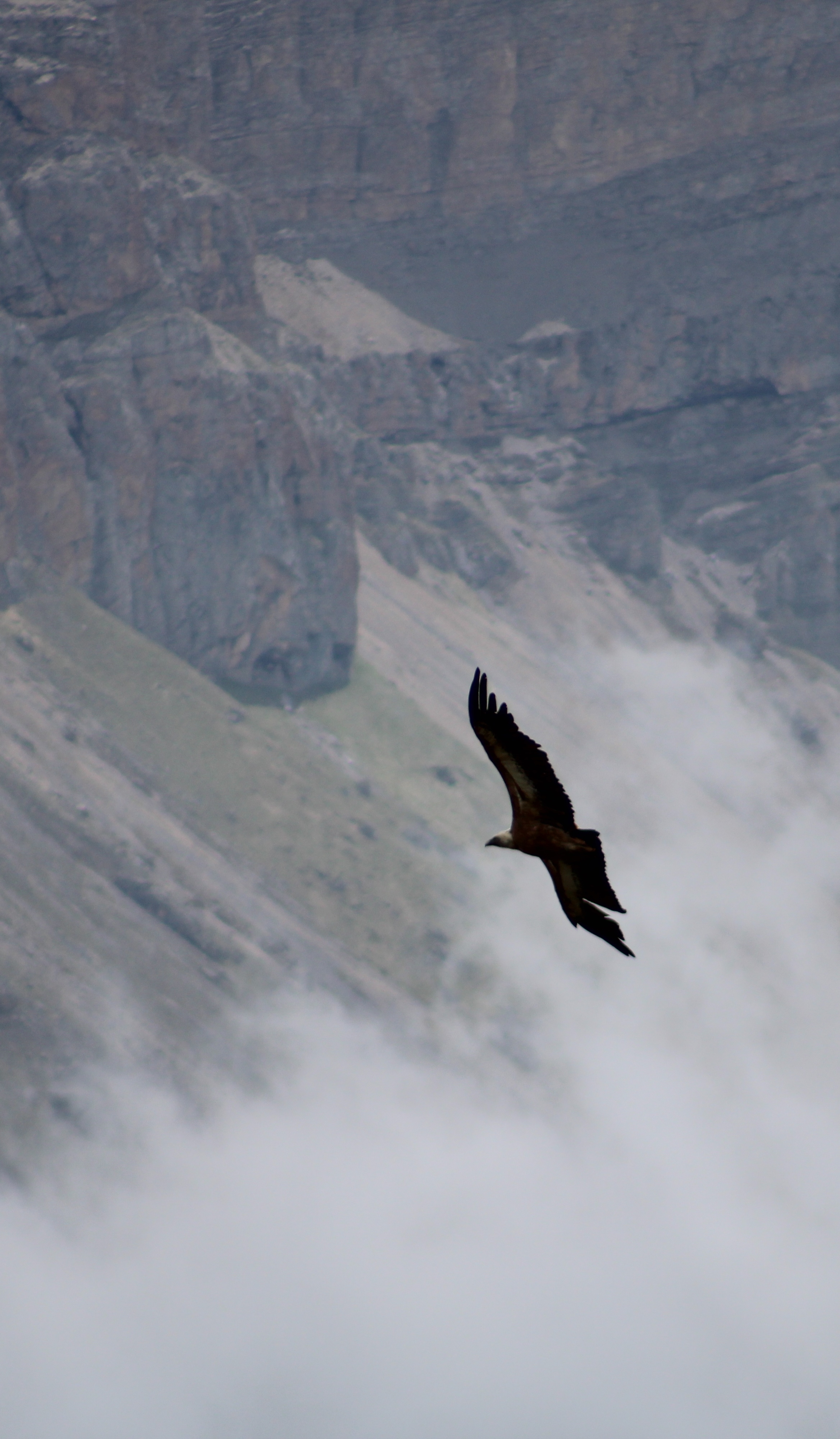 Астропутешествие в горы с телескопом (20/23)