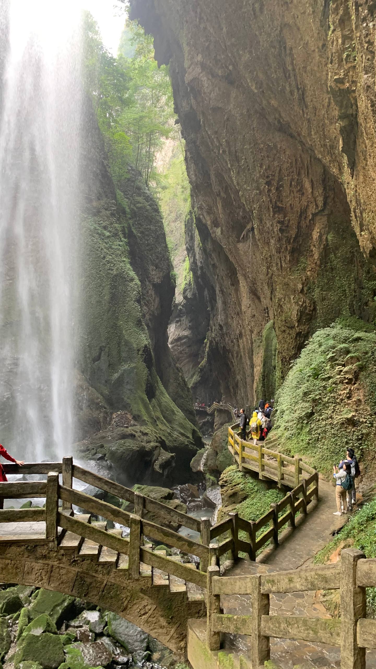 Волшебный Китай: Чэнду + Чунцин Индивидуальный тур (4/33)