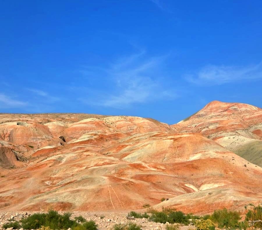 Розовое озеро, Марсианские горы, Бешбармаг и дегустация черной икры (обед включен)