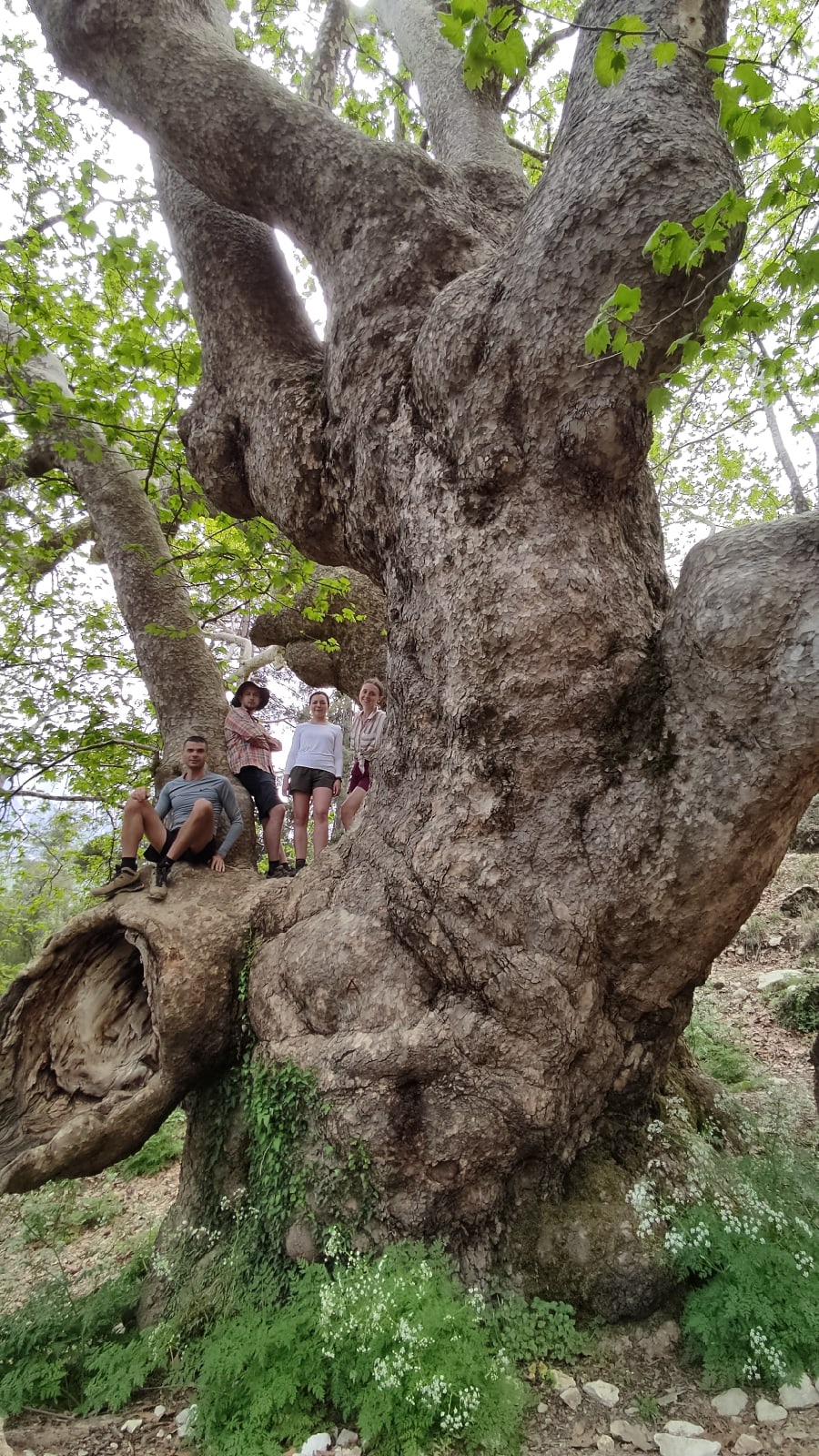 Турция. Активный тур по Ликийской тропе без палаток и рюкзаков (16/33)
