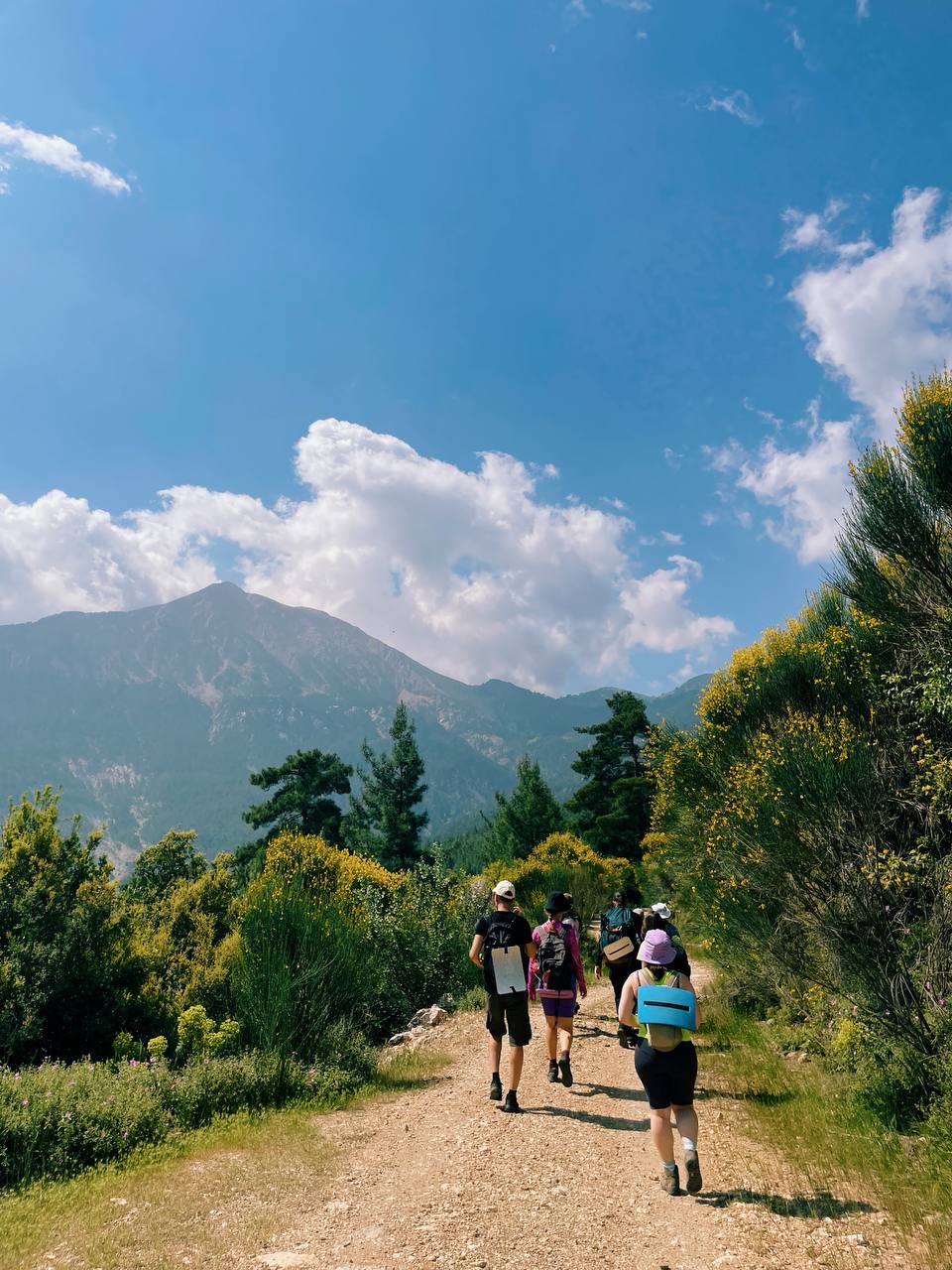 Турция. Активный тур по Ликийской тропе без палаток и рюкзаков (32/33)
