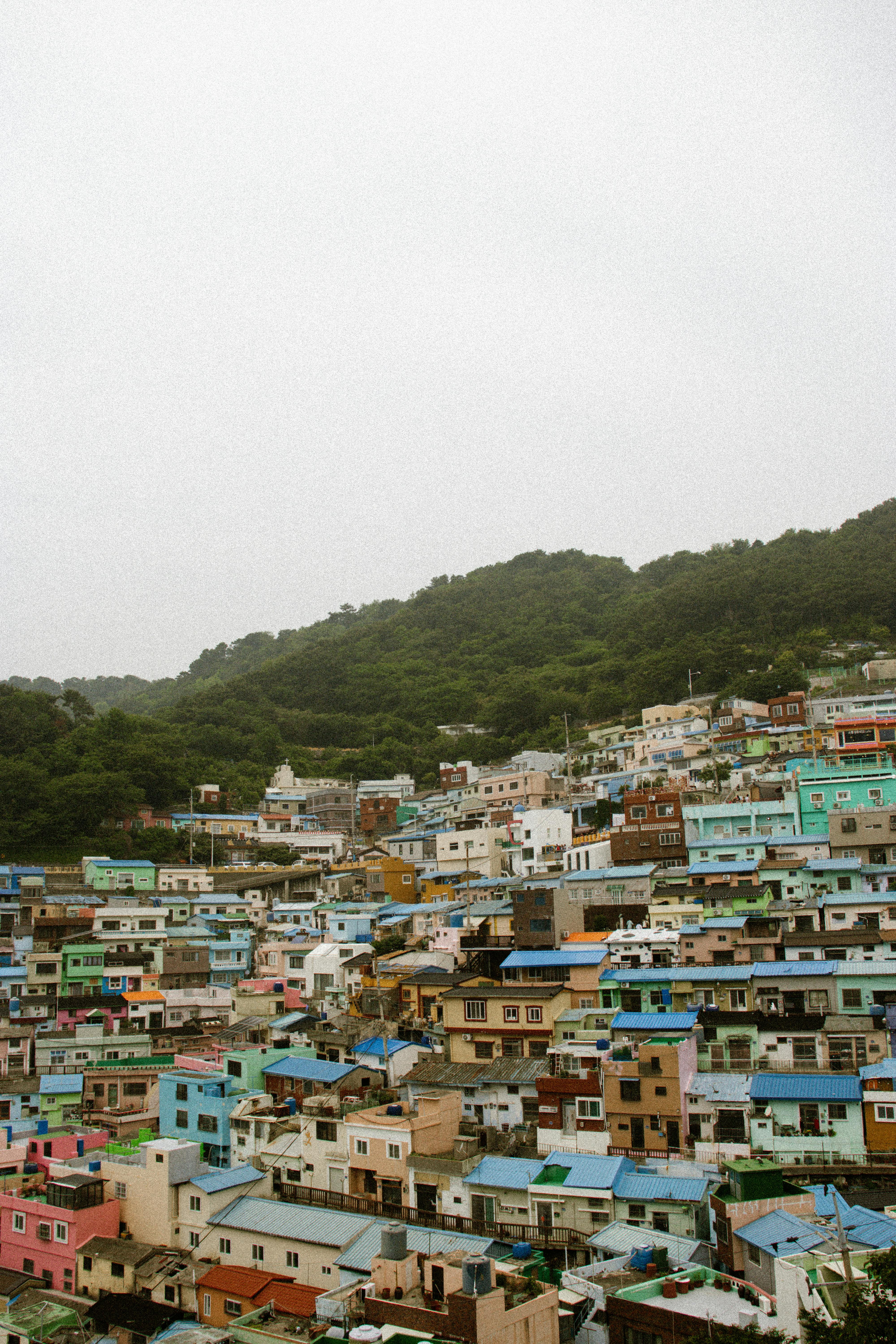 Твое путешествие между традициями и будущим, между природой и неоном (23/26)