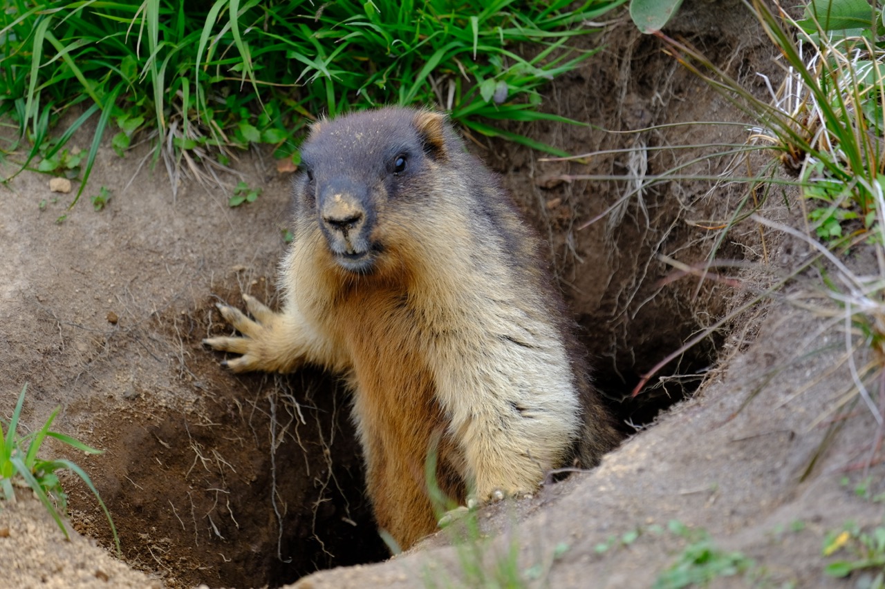 Сахалин + Камчатка. Активный тур без палаток и рюкзаков (19/33)