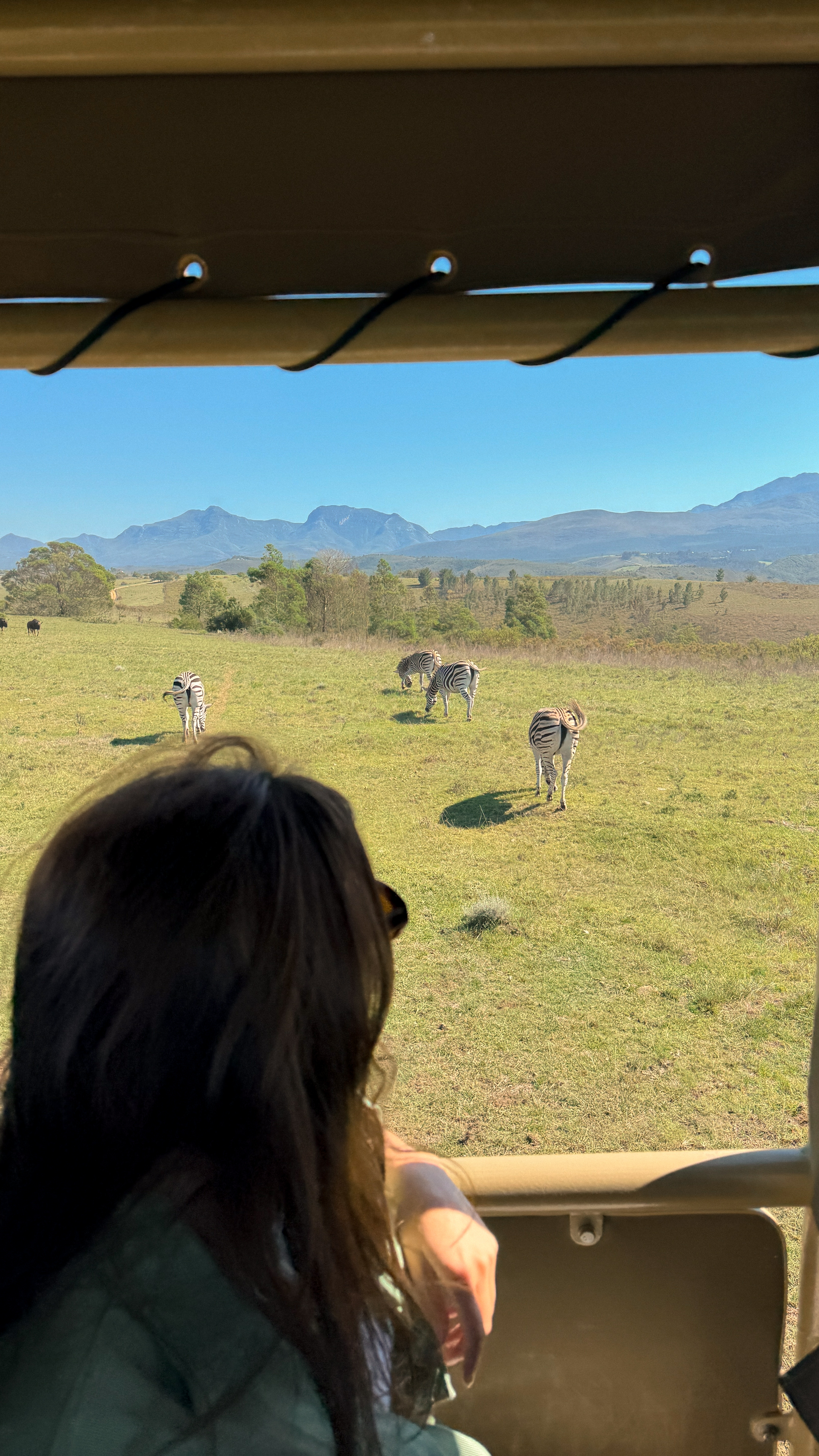 Между двумя океанами: большое путешествие по Юар (33/49)