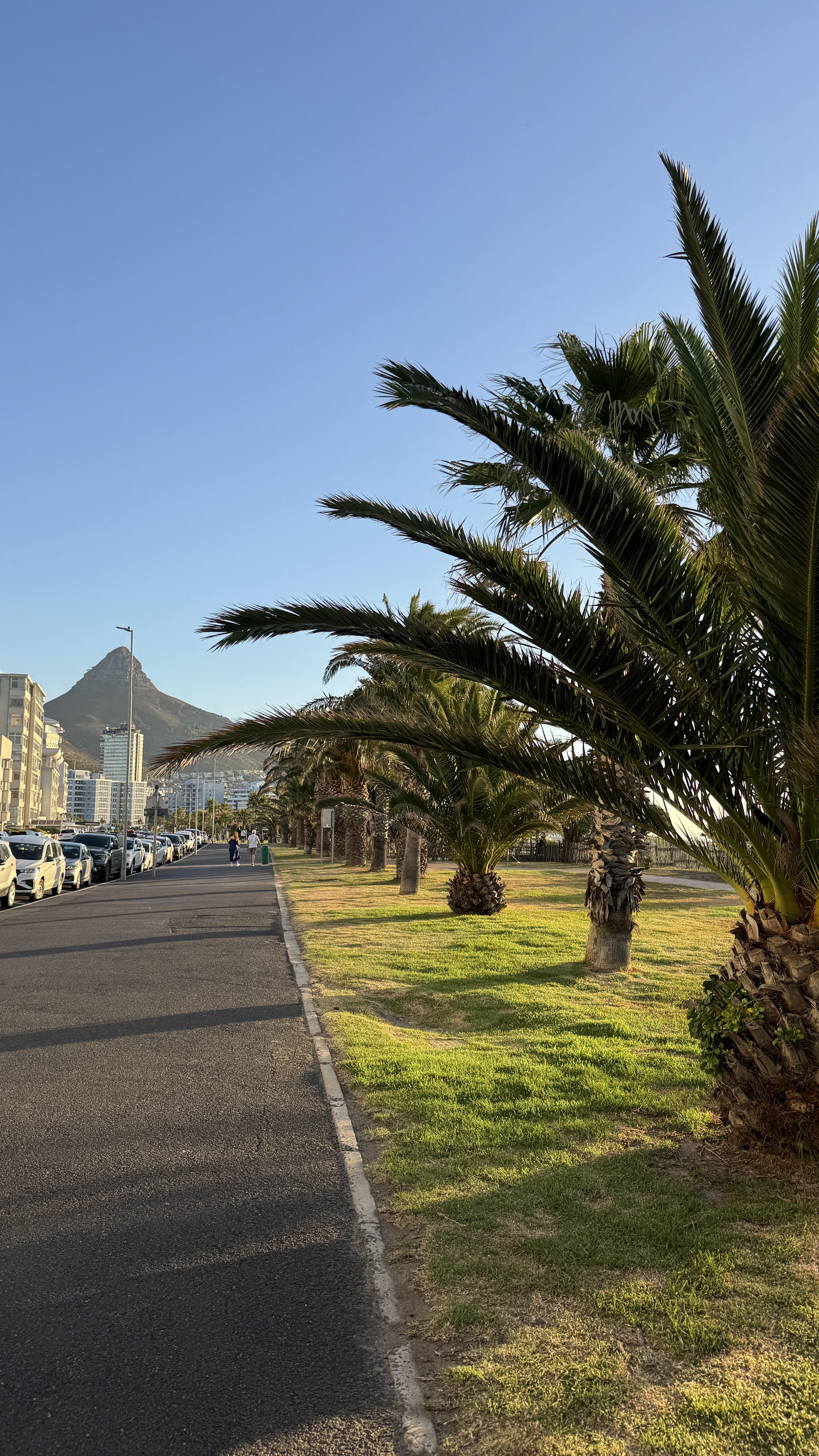 Между двумя океанами: большое путешествие по Юар (48/49)