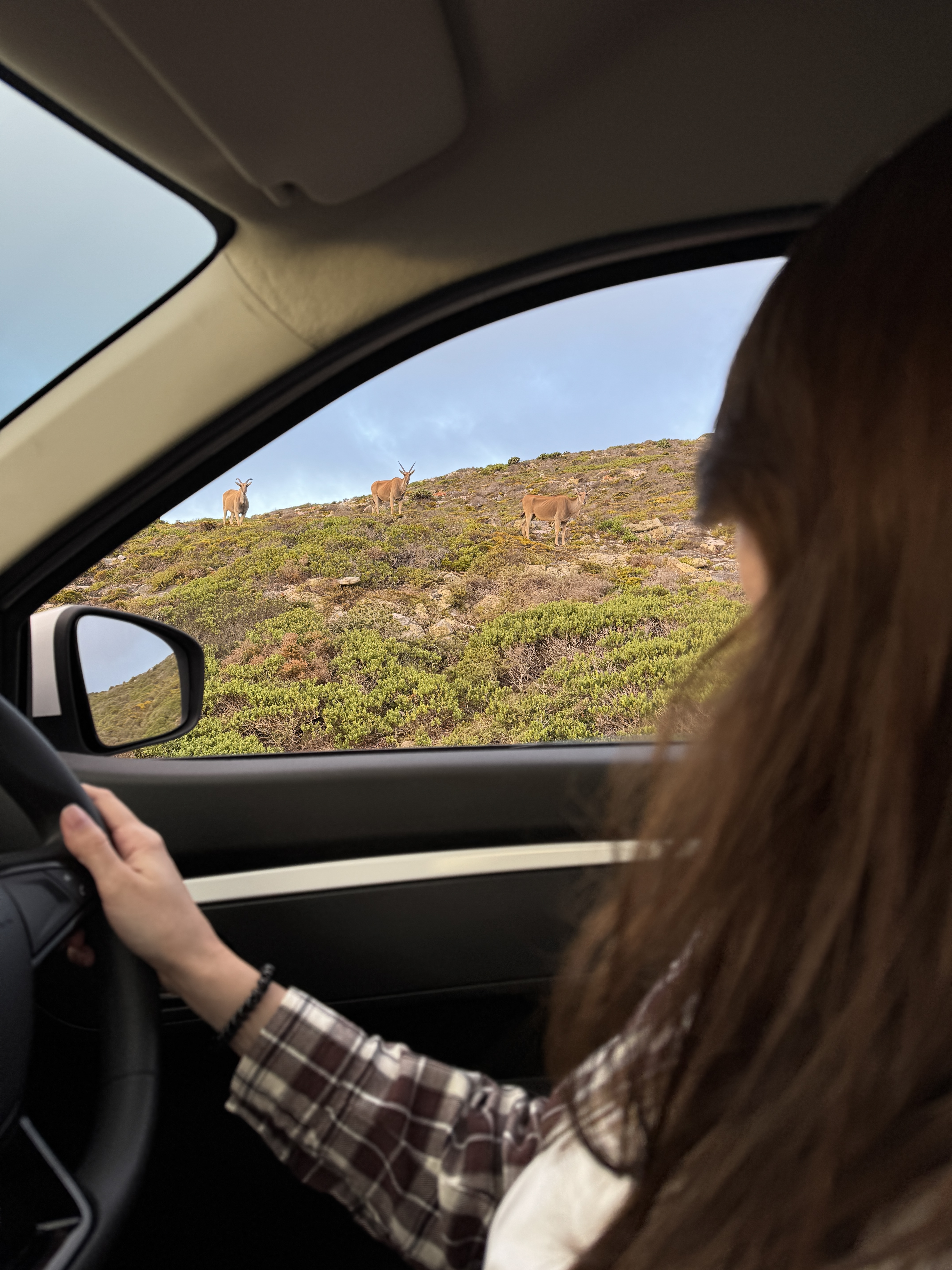 Между двумя океанами: большое путешествие по Юар (4/49)