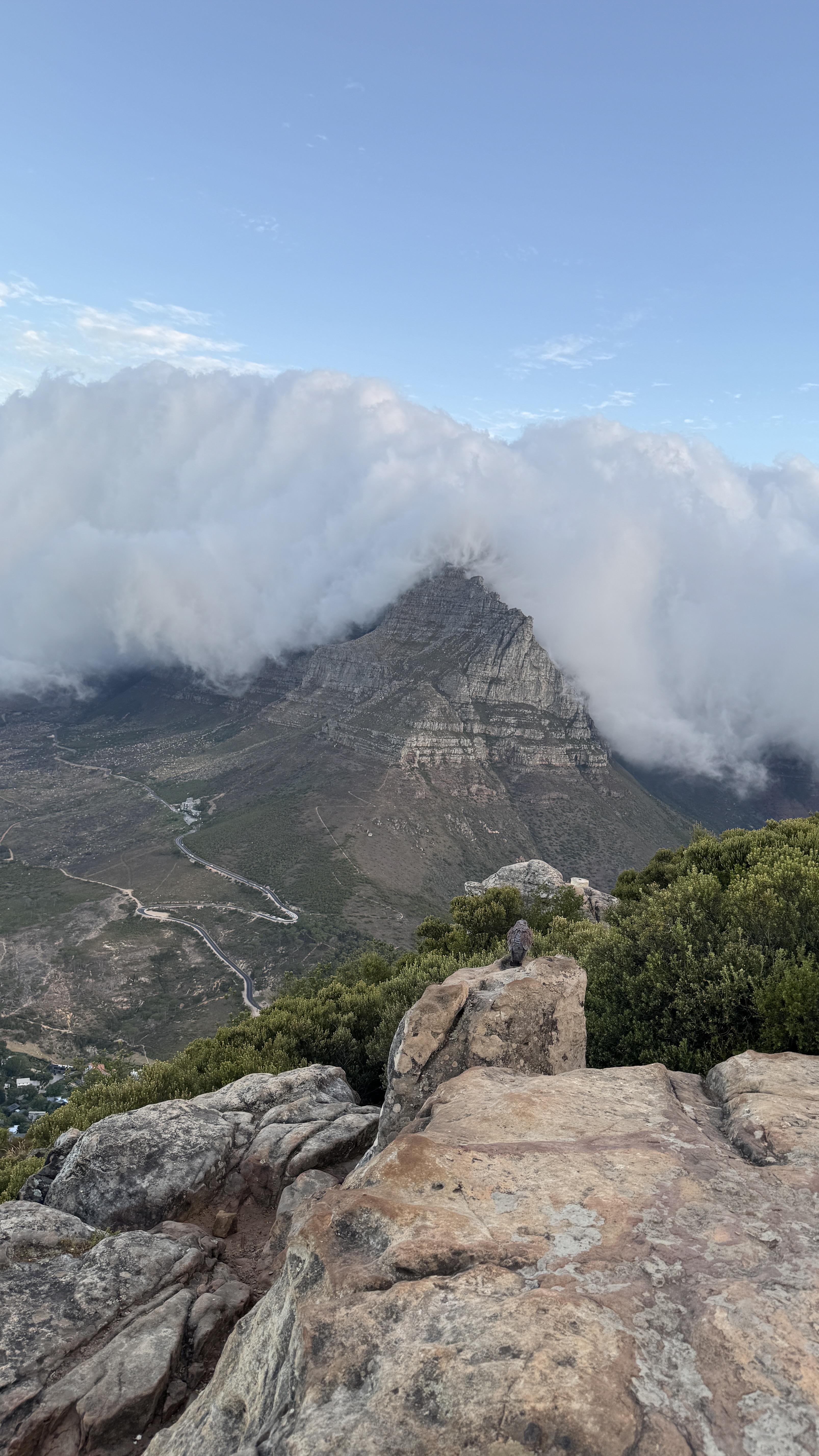 Между двумя океанами: большое путешествие по Юар (26/49)