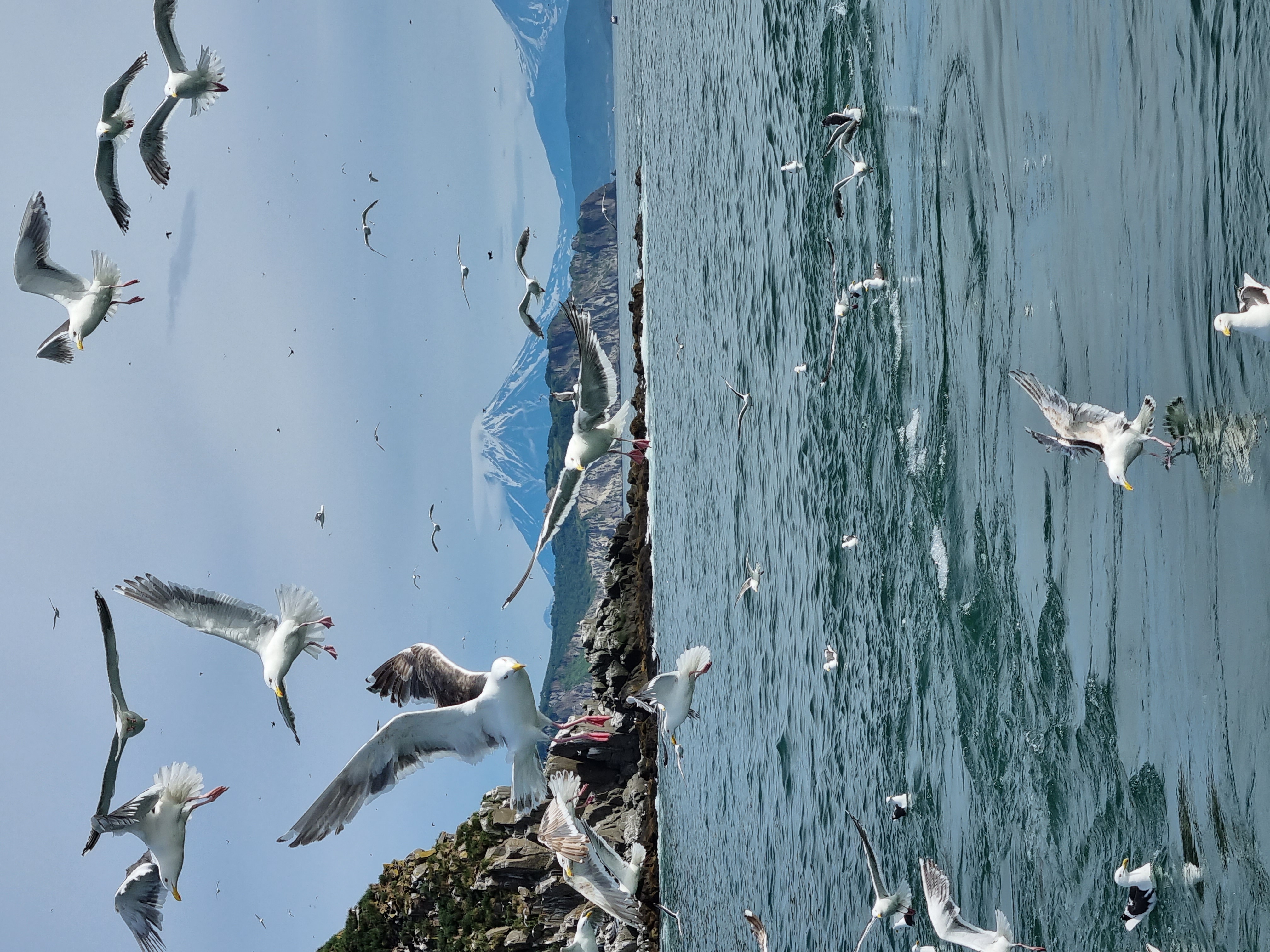 Сахалин + Камчатка. Активный тур без палаток и рюкзаков (26/33)