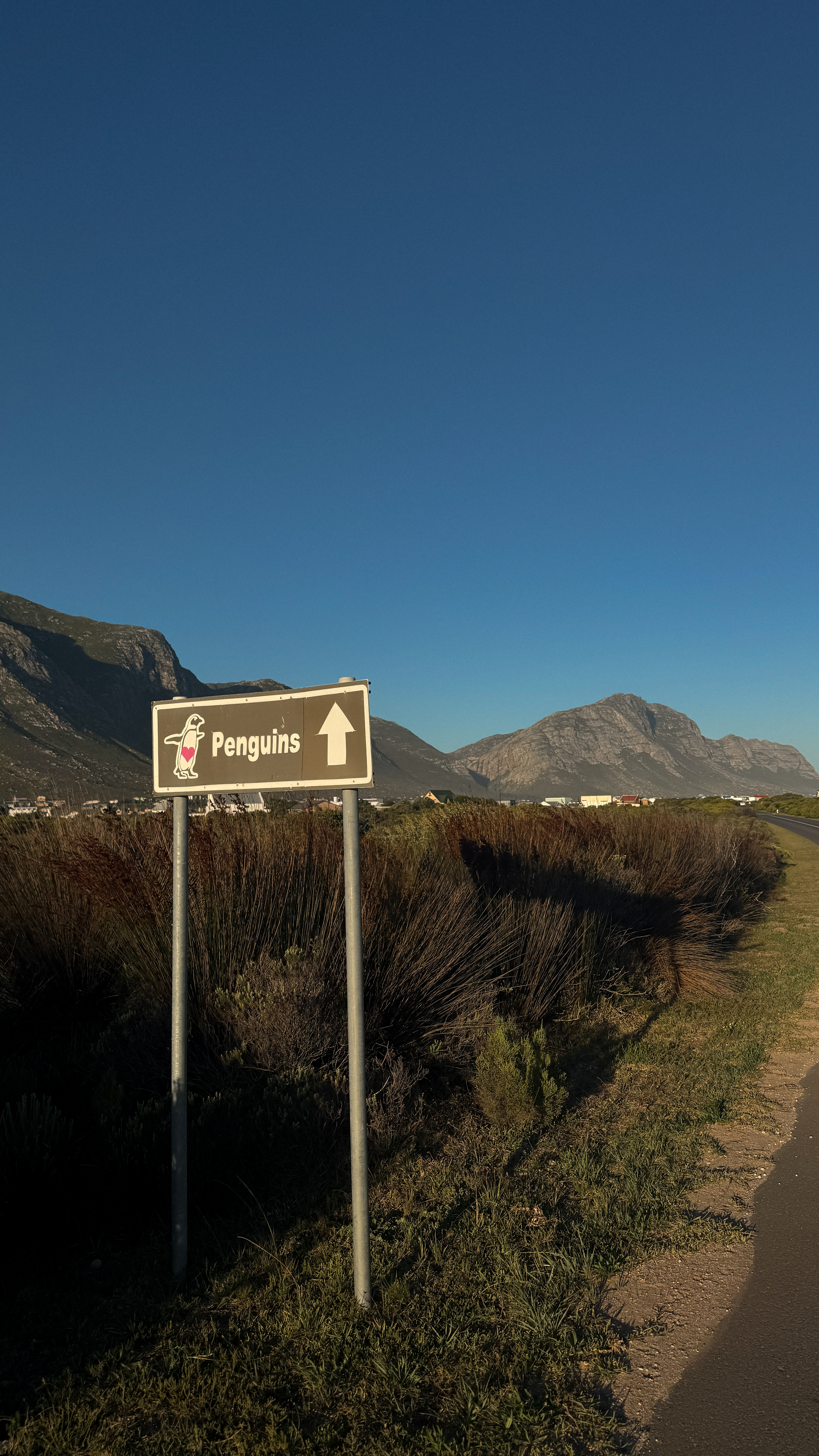 Между двумя океанами: большое путешествие по Юар (42/49)