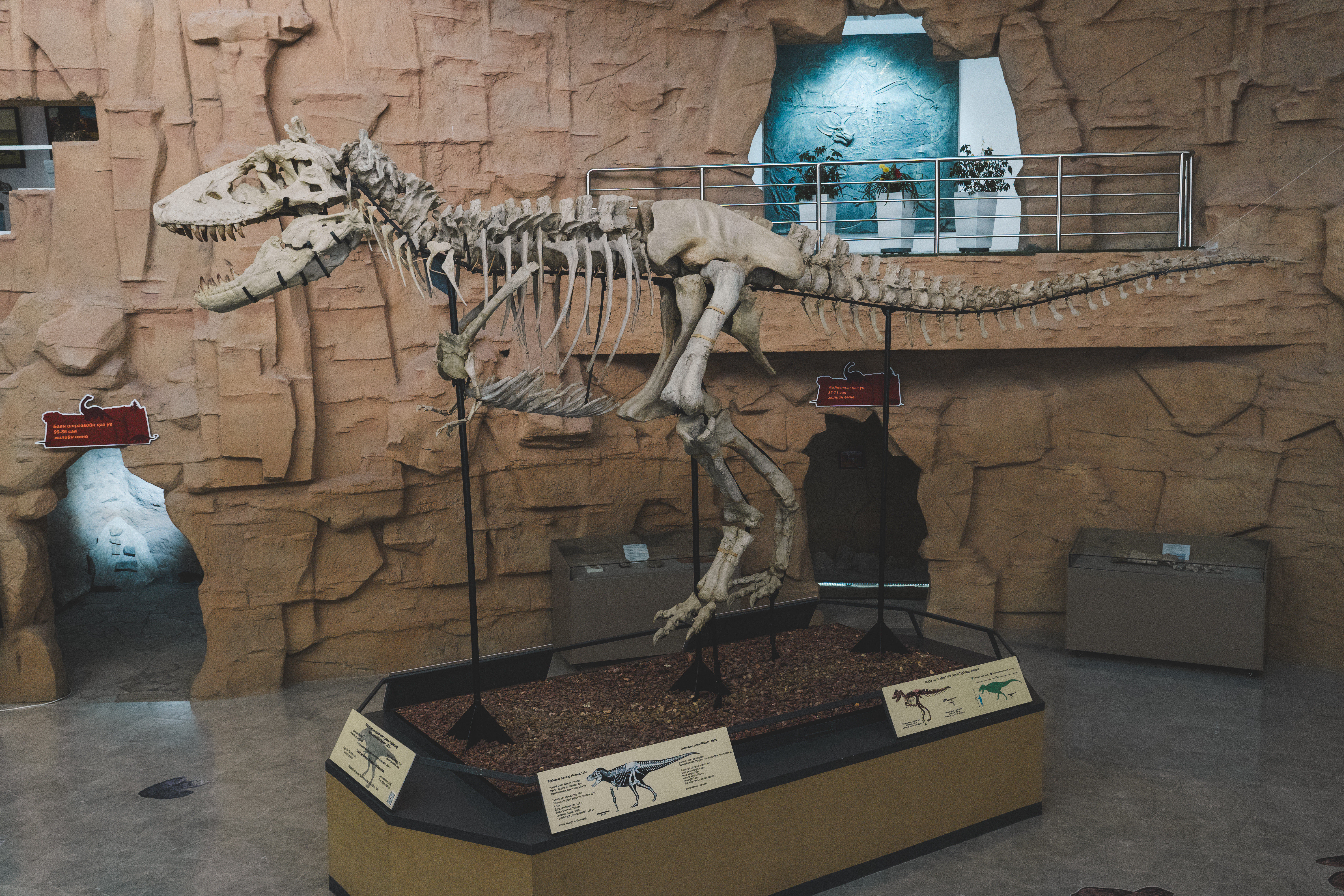 Современные кочевники - Большое путешествие в Гоби (21/64)