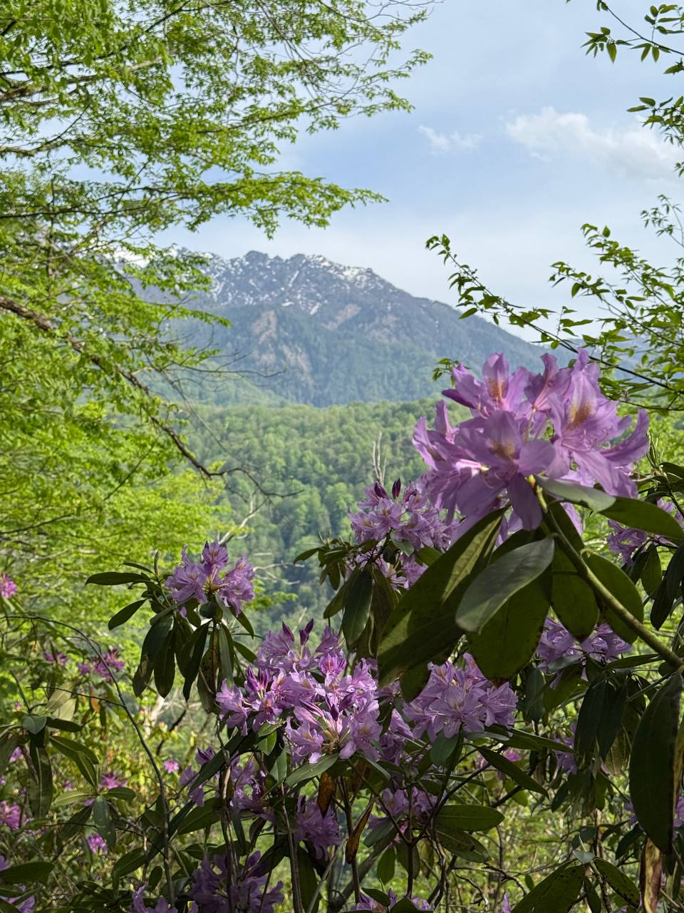 Абхазия. Горы, водопады, море и озеро Рица, тур на 3 дня (33/104)