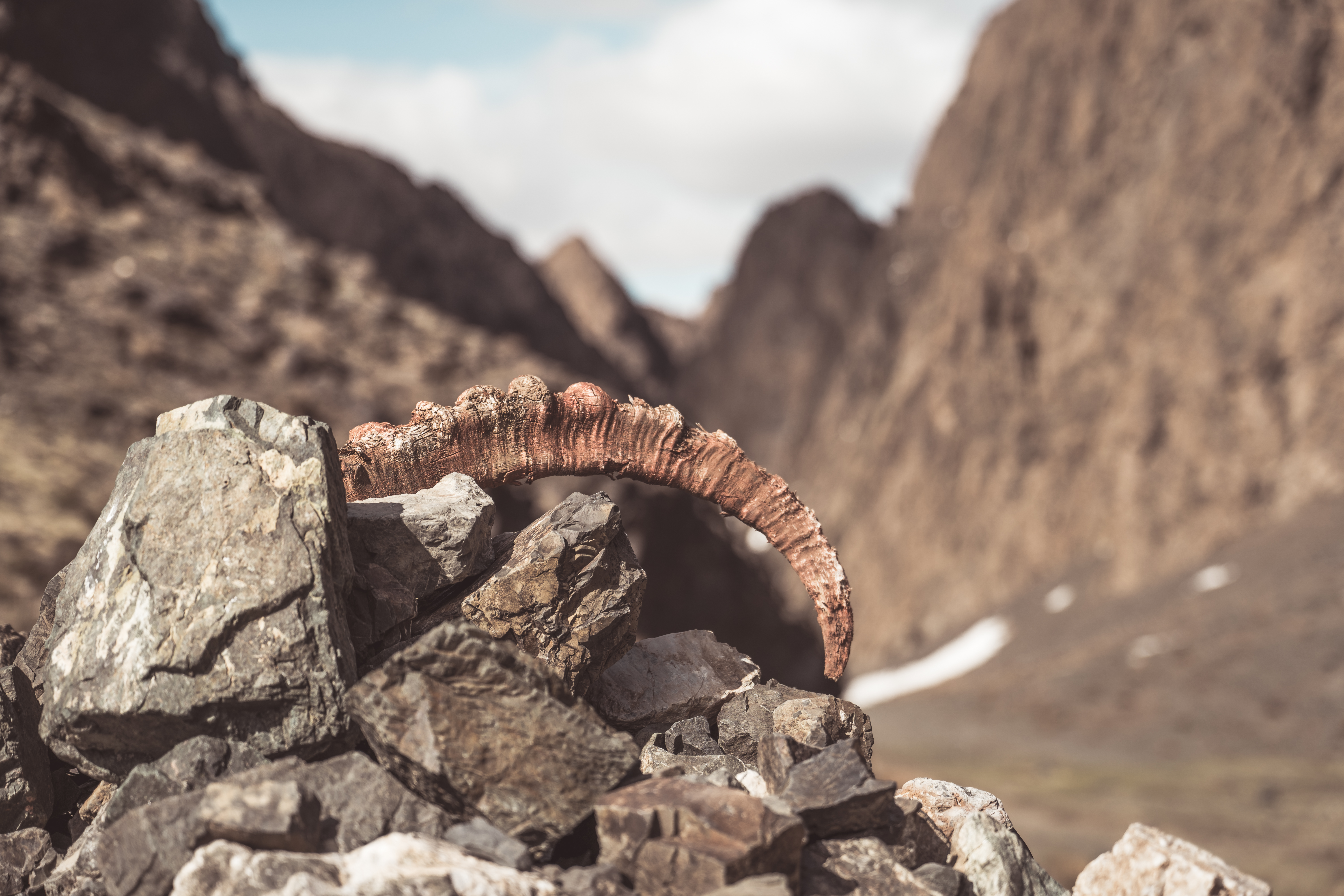 Современные кочевники - Большое путешествие в Гоби (41/64)