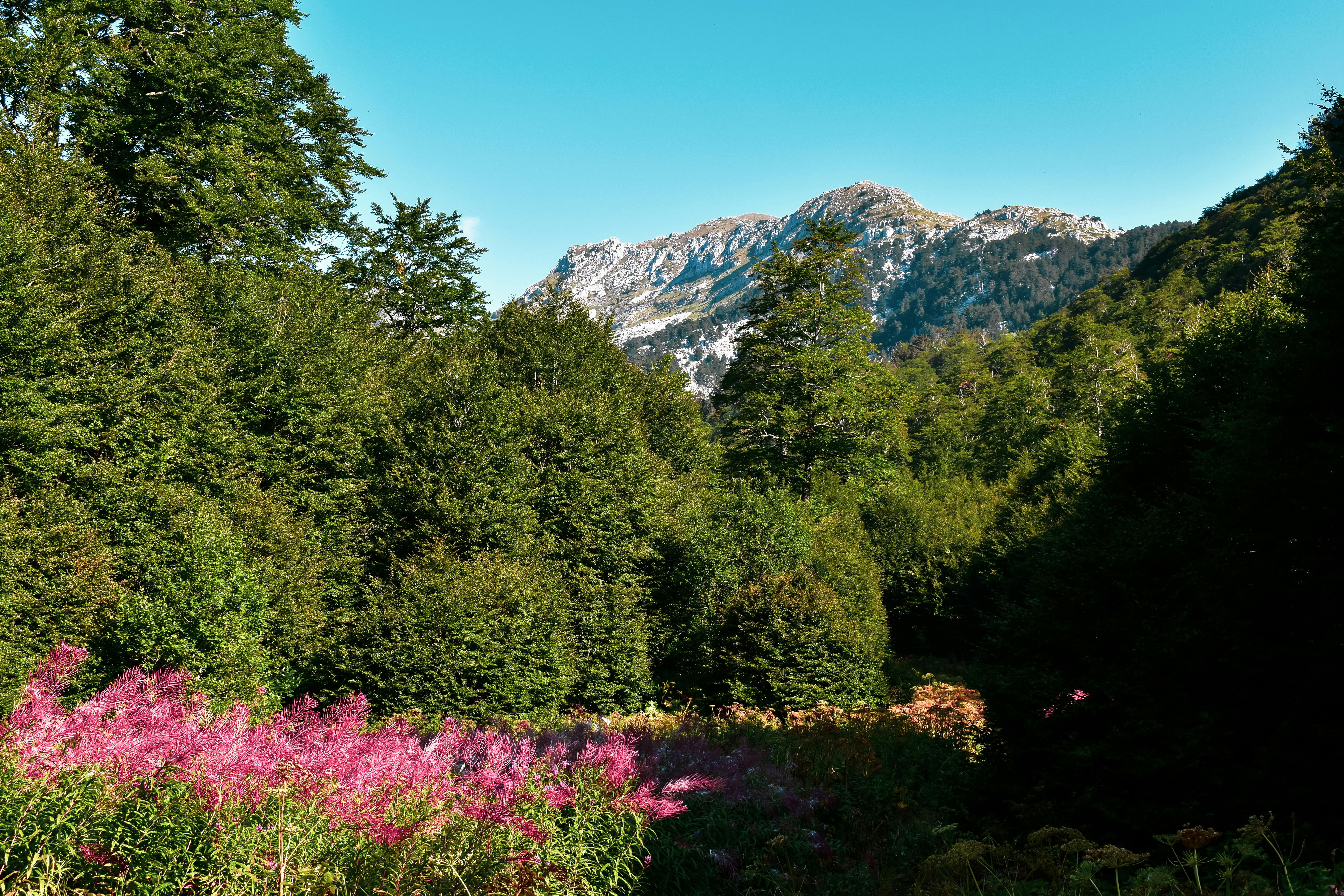 Трекинг в Боснии: Динарские Альпы (7/16)