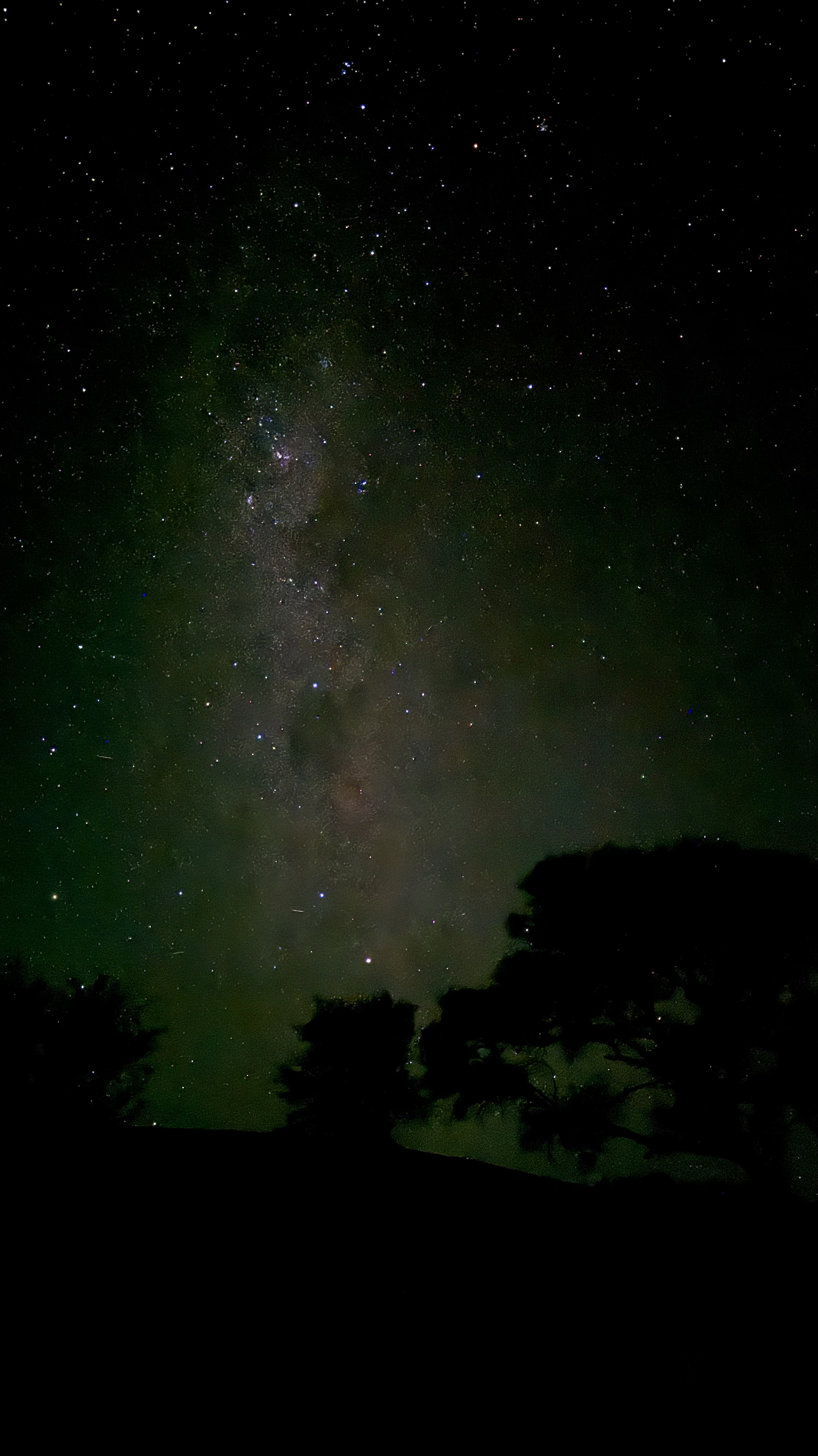 Между двумя океанами: большое путешествие по Юар (9/49)