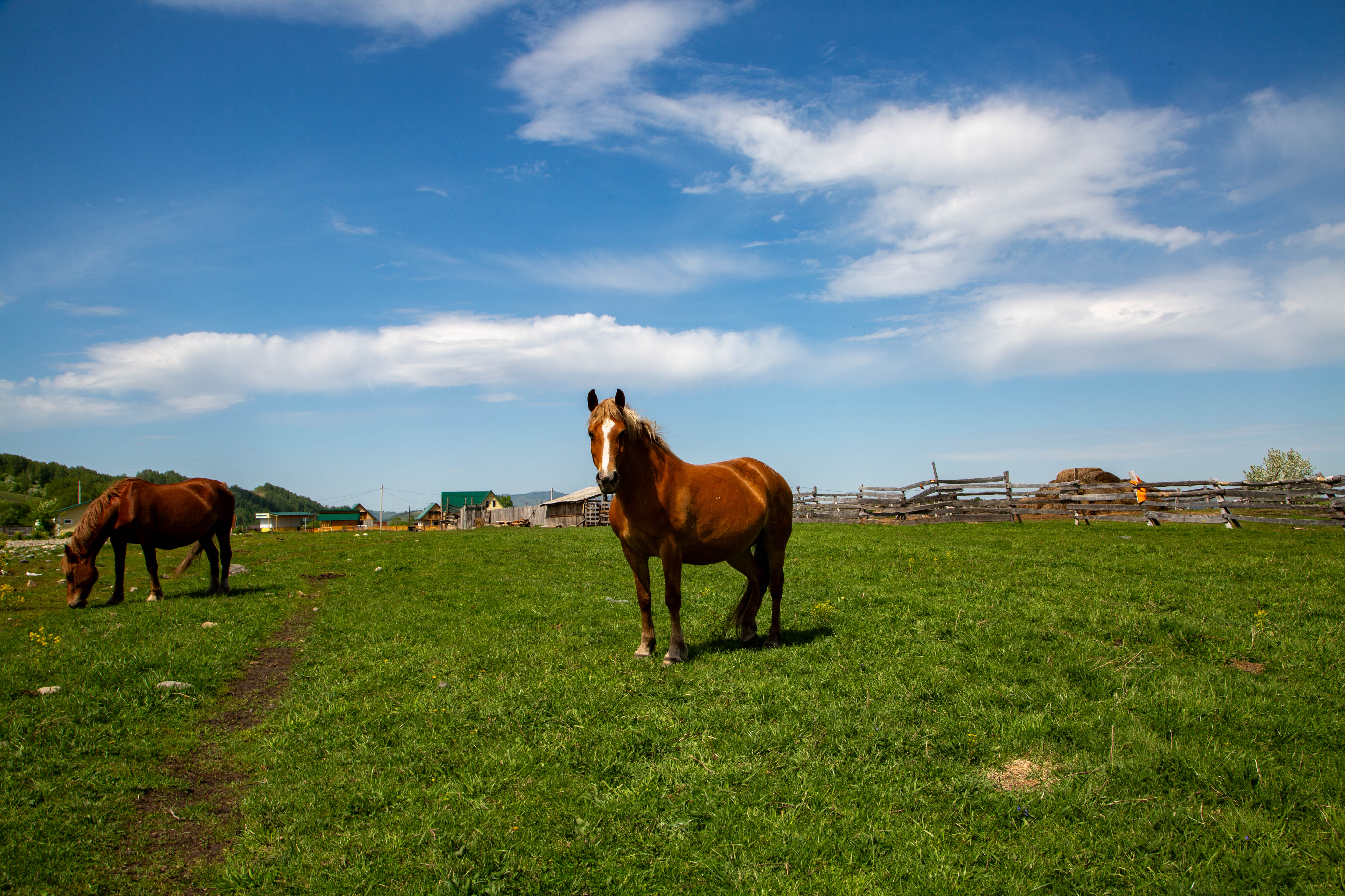 Алтай. Тур-перезагрузка Сиреневая весна. (9/14)