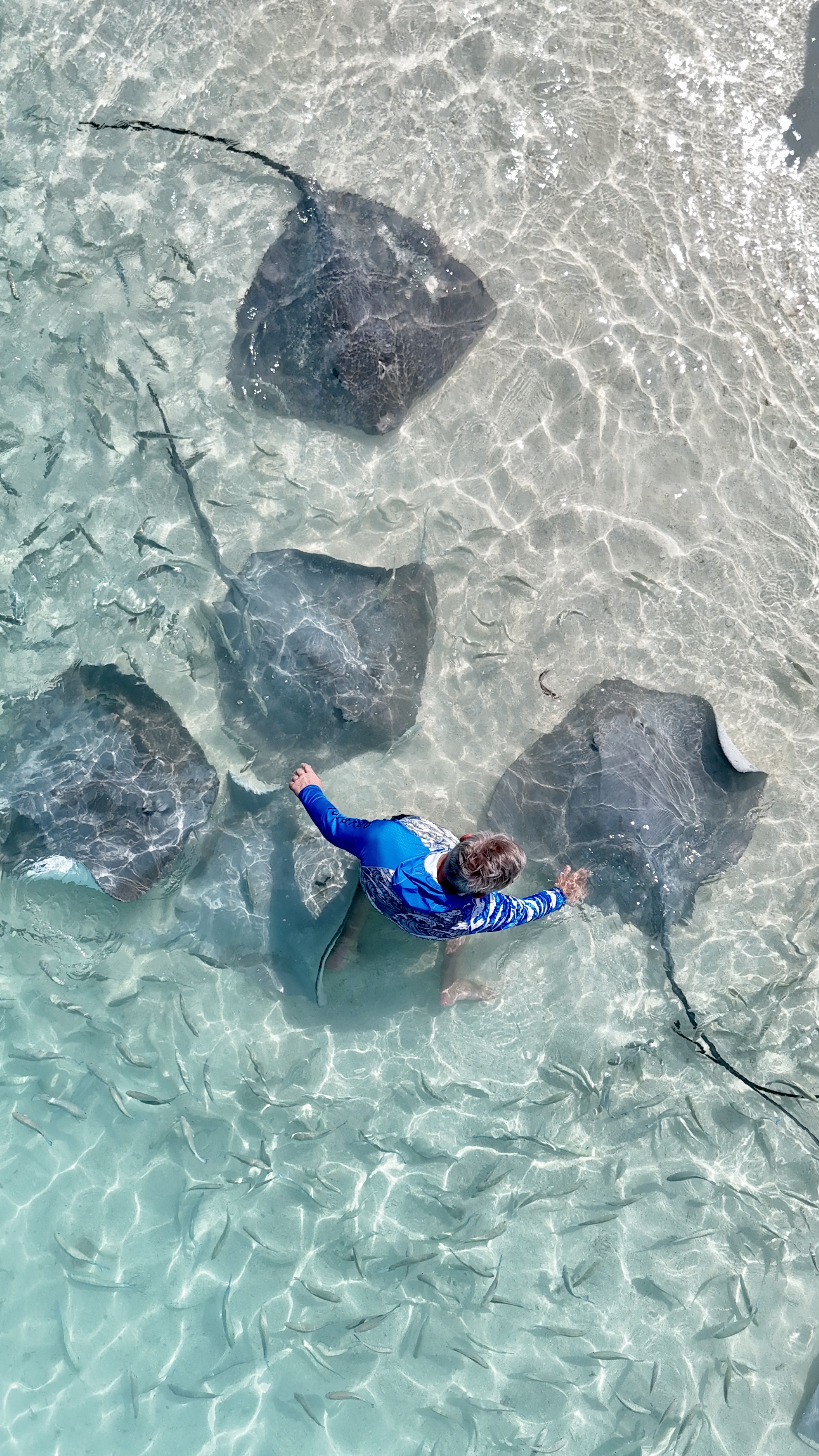 Мальдивы Для Пар - Ваши даты (52/61)