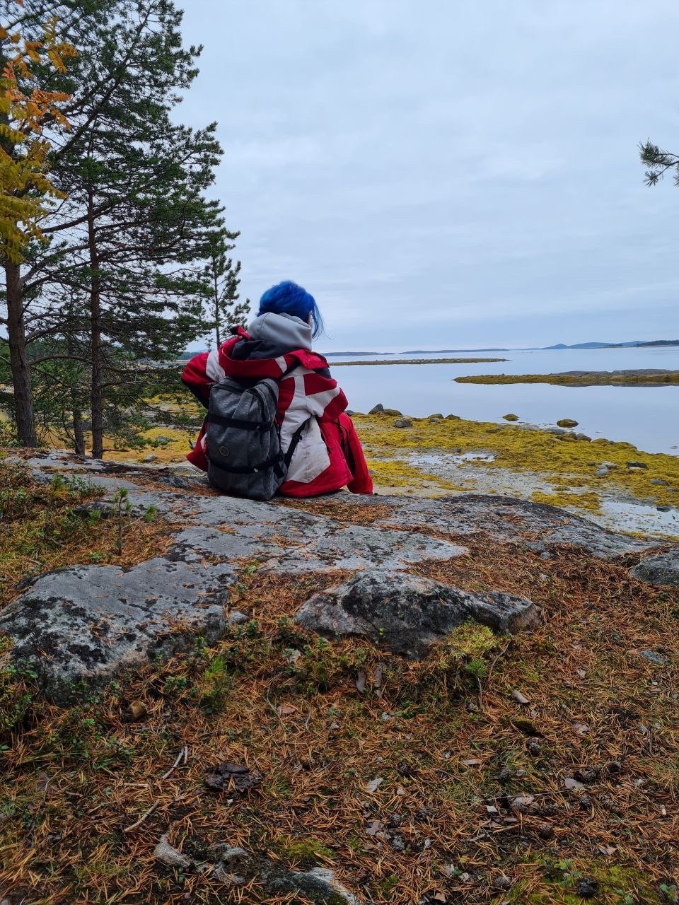 Териберка, киты и Хибины на Кольском за 4 дня (1/19)