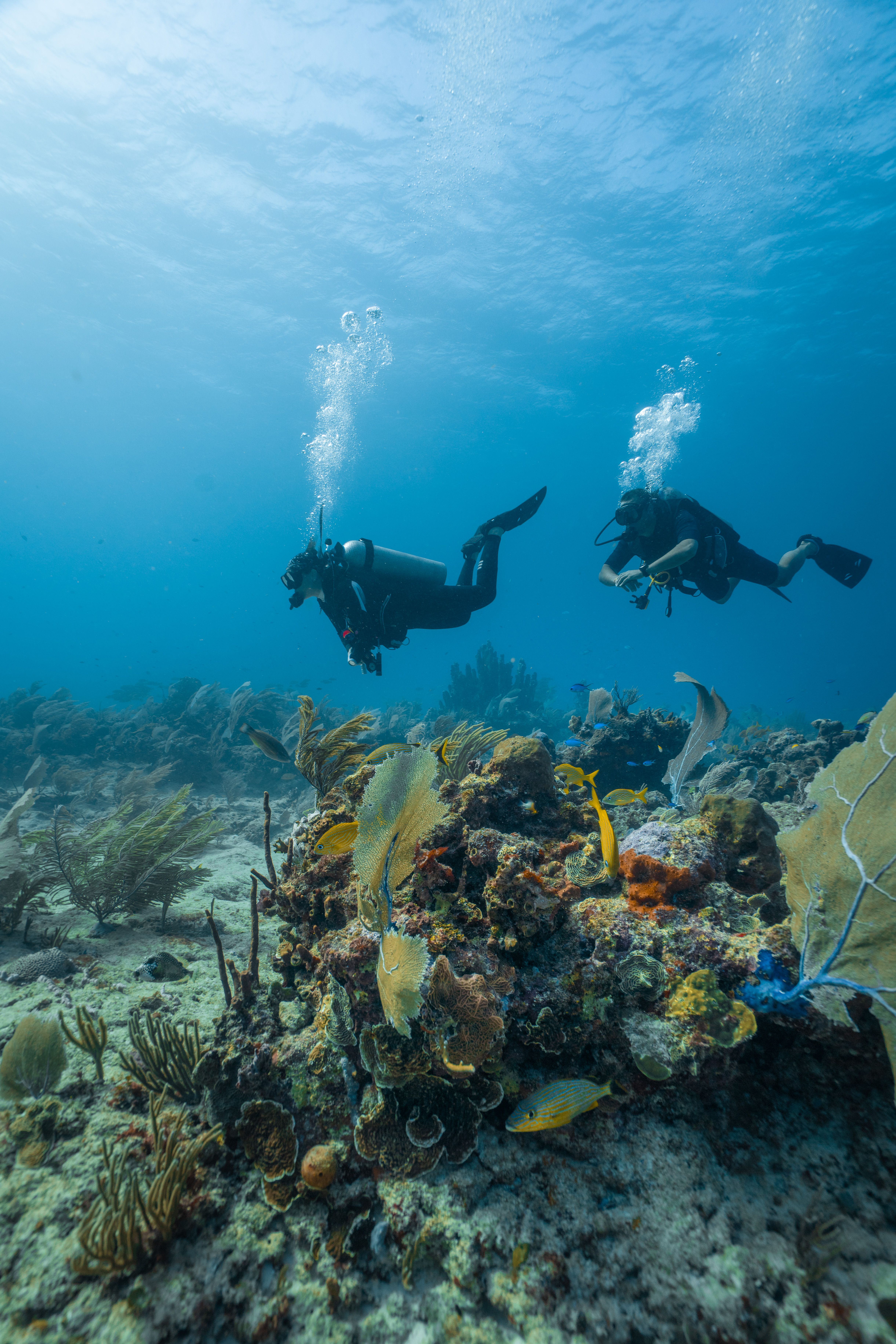 Дайвинг-приключение в Сиде (9/14)