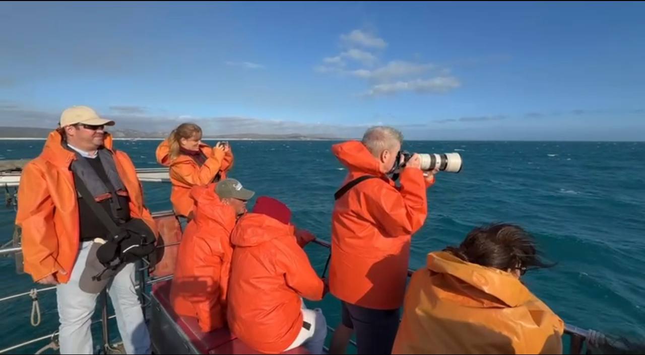 Юар киты, водопад Виктория, сафари в Чобе и Кейптаун. (5/27)